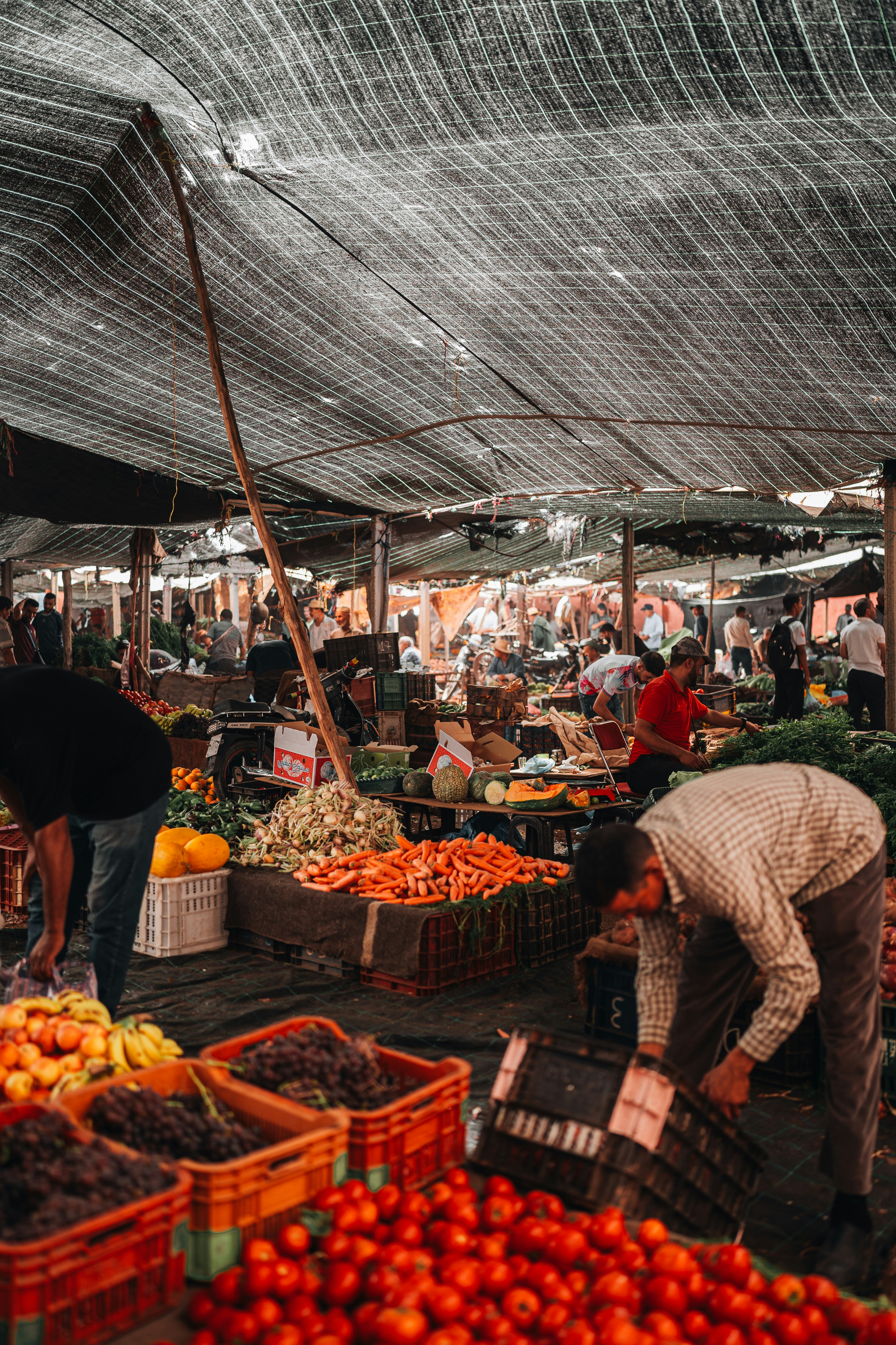 Photo by benjamin_photo_lab