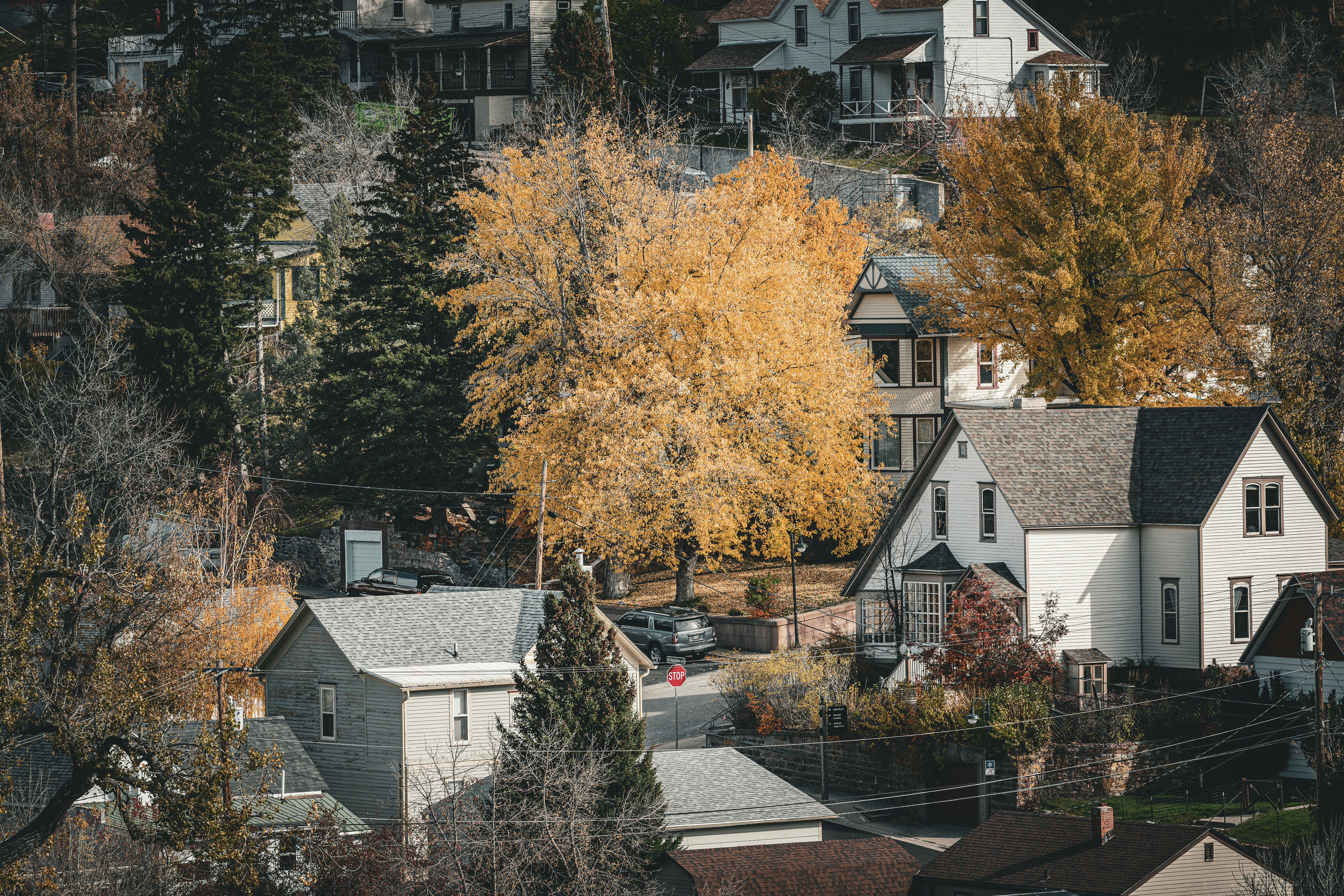 Herbstliche Bäume und Häuser in Hanglage.