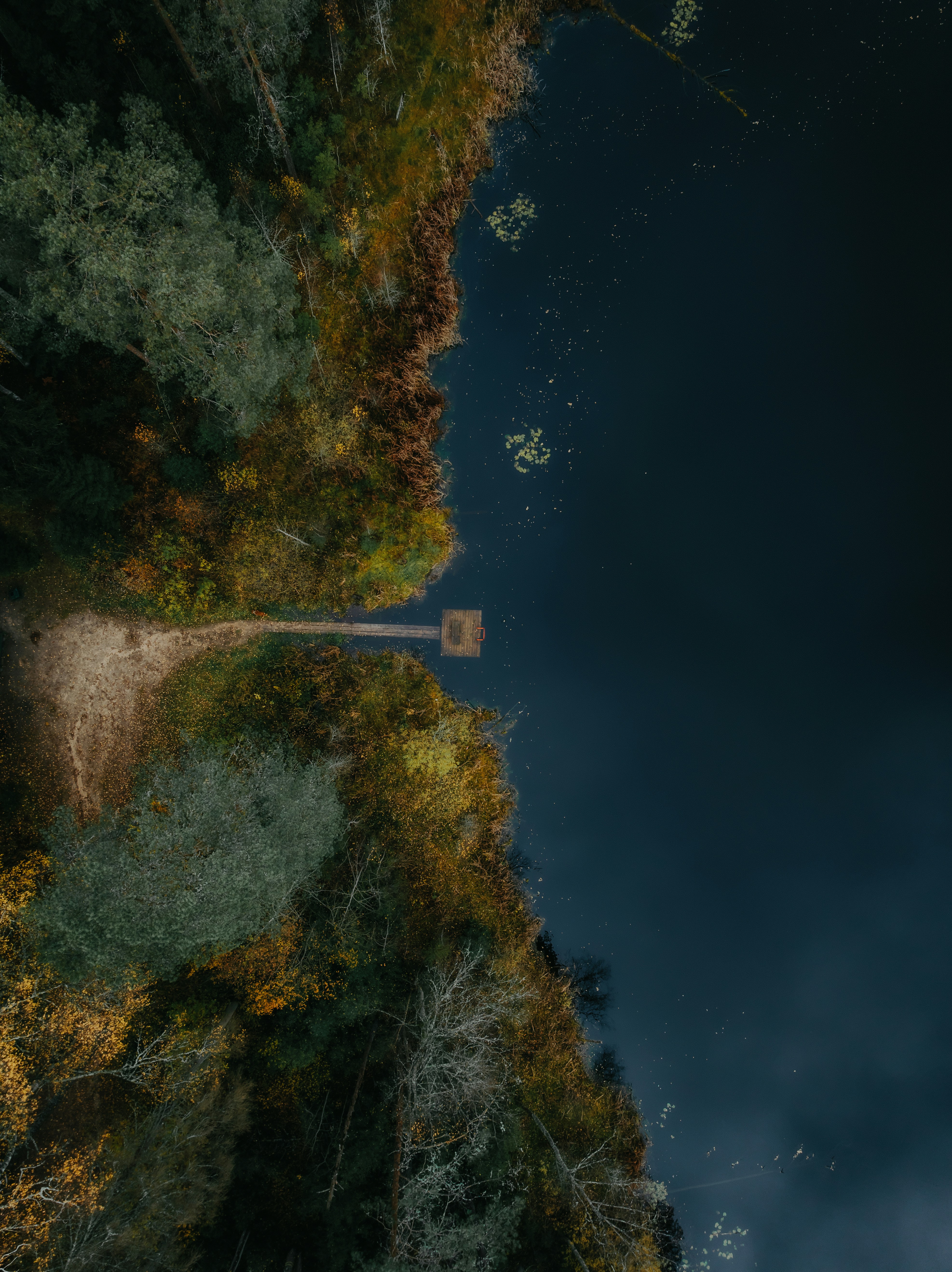 Photo by kristapsungurs