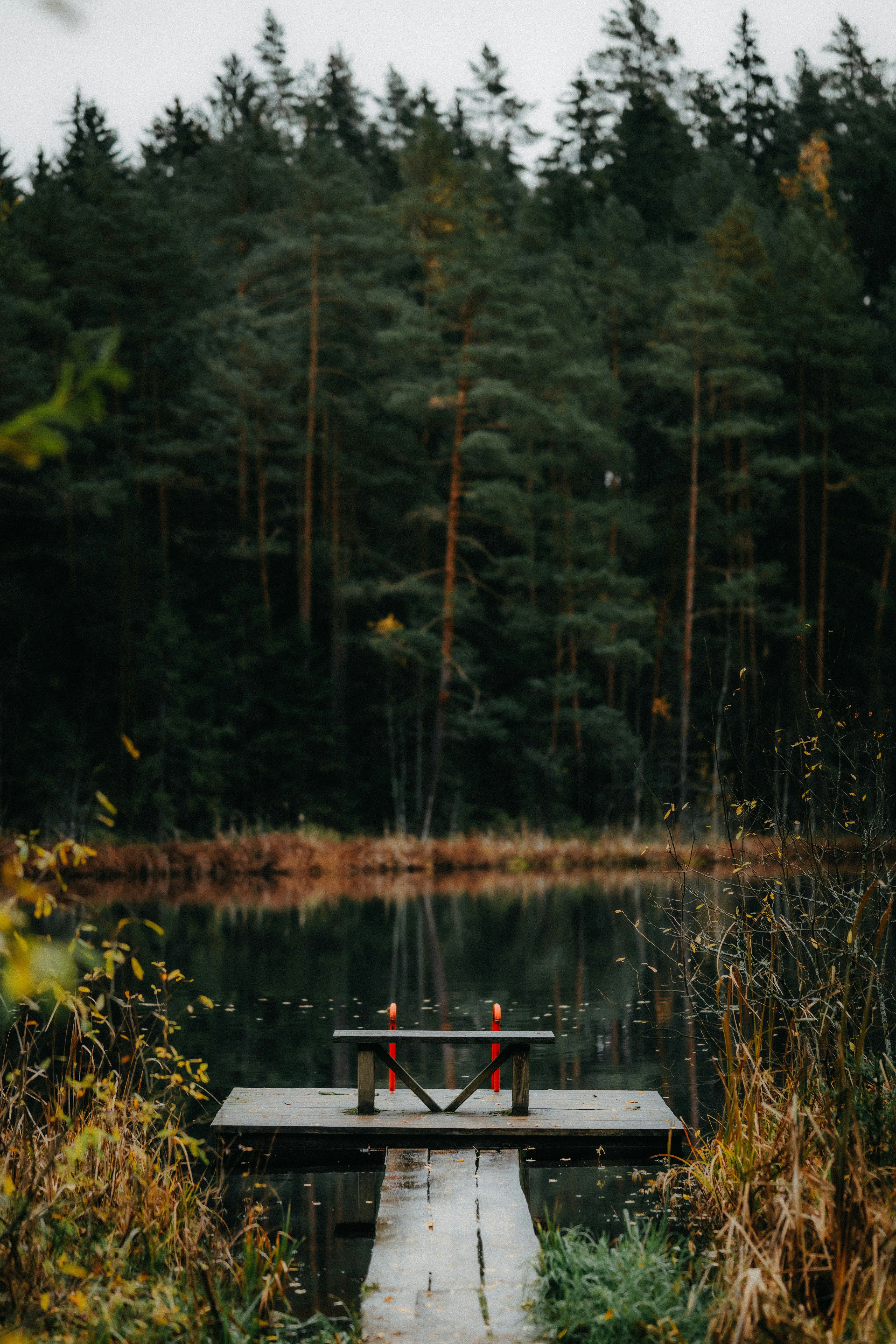 Photo by kristapsungurs