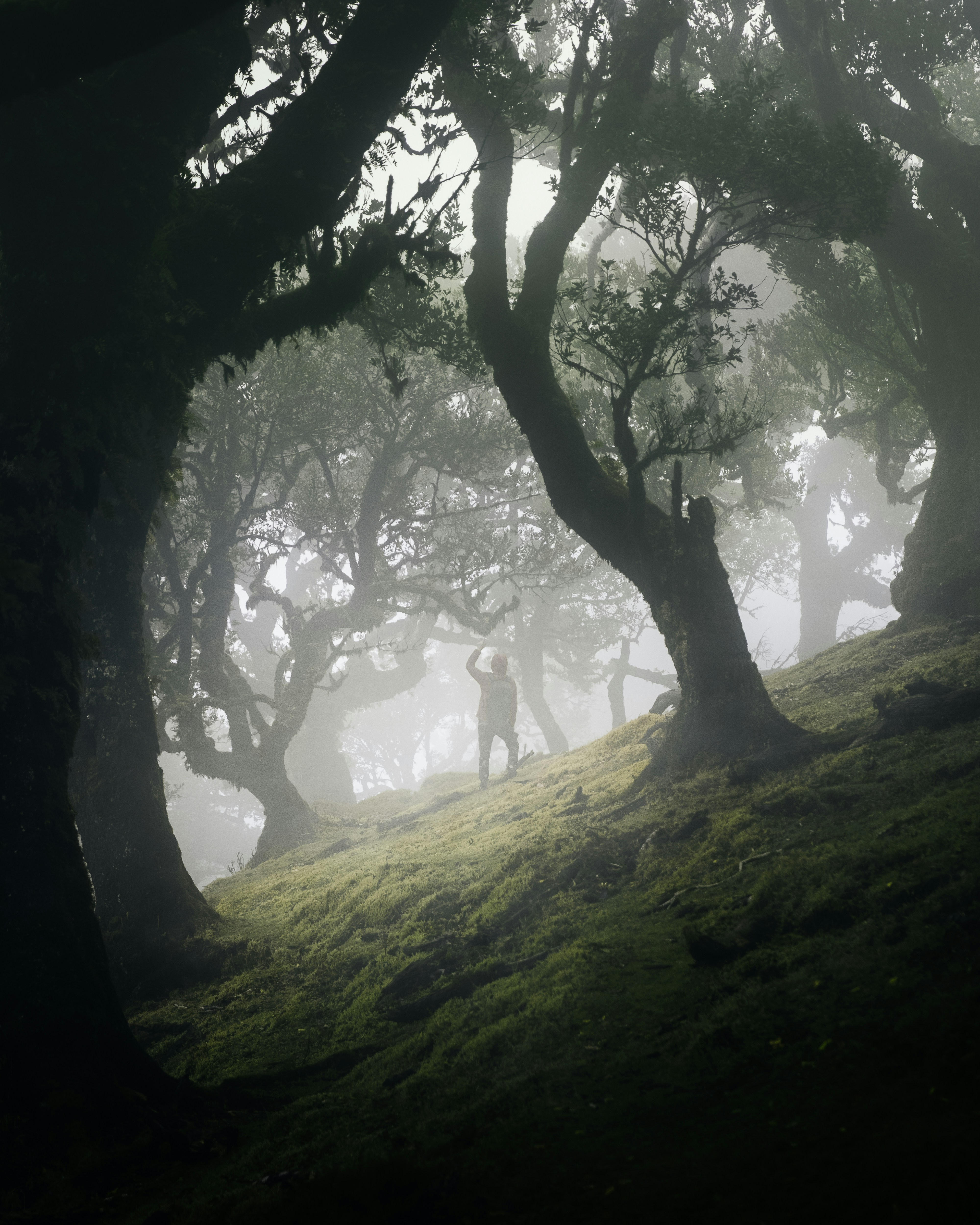 Photo by edgar_infocus