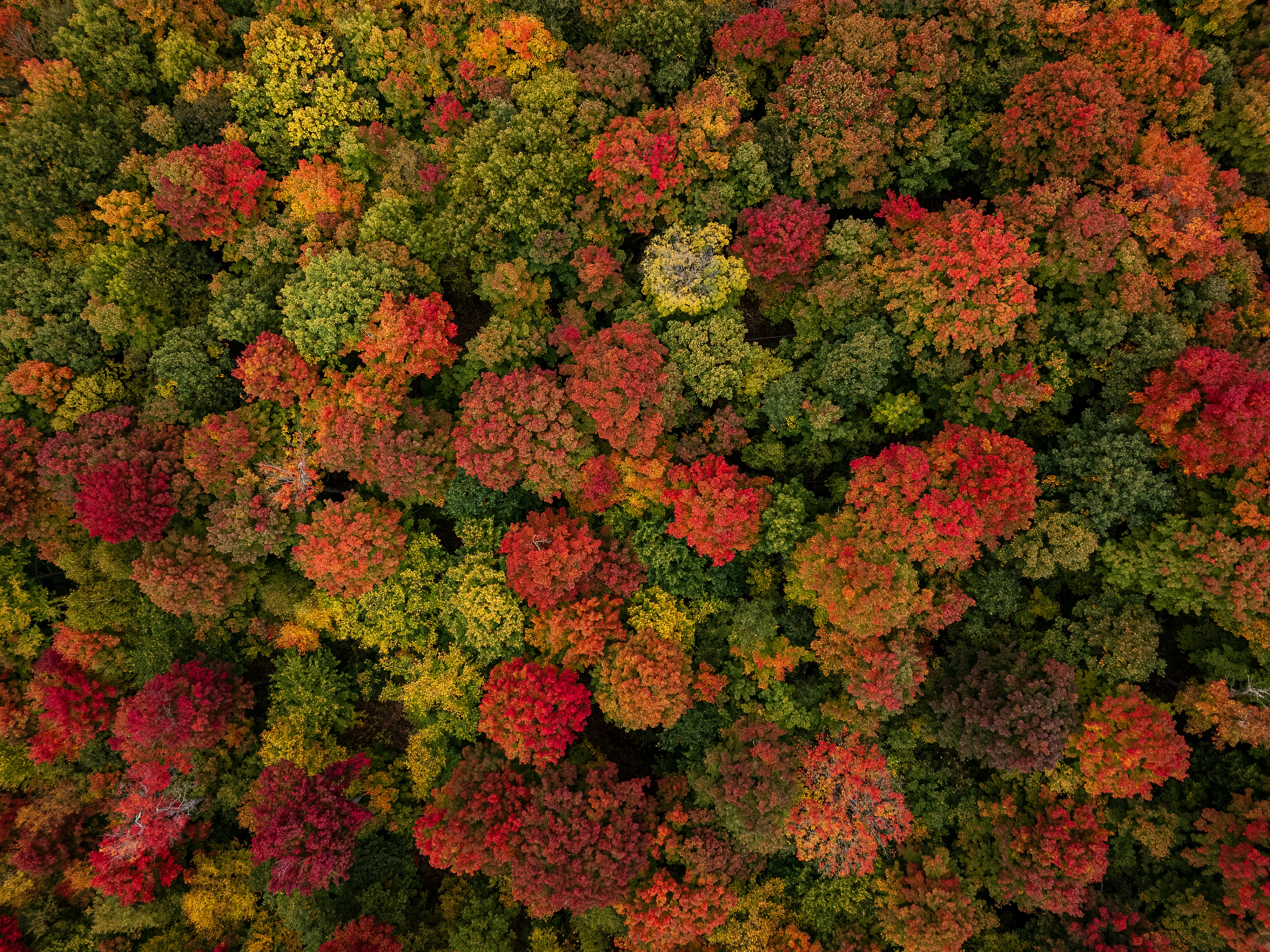 Photo by sabrinarizzo