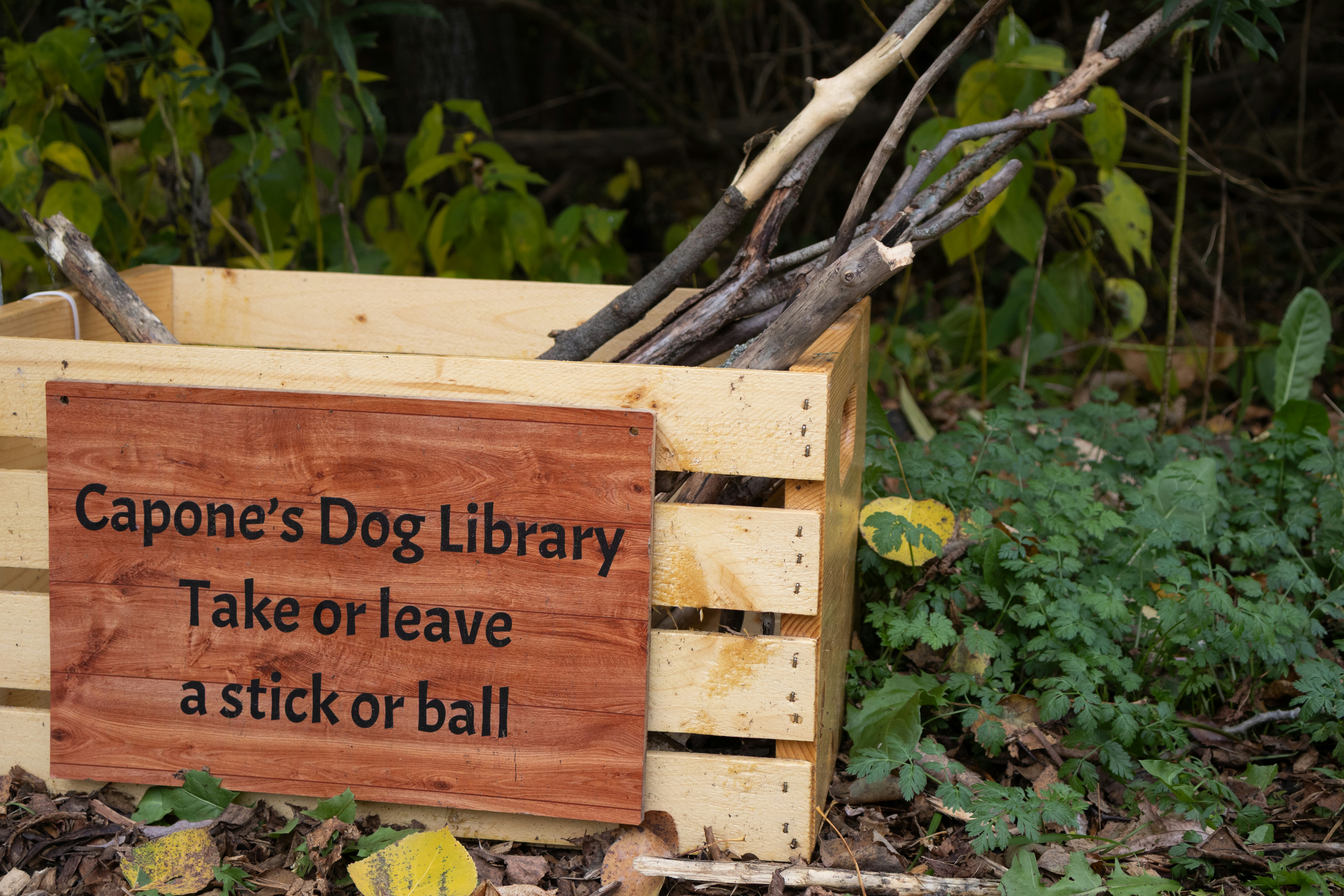 Finding Your Team in Caregiving: Building Community Resources