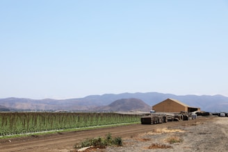 Farm fields with barn and mountains in background