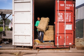 Man loading hay bales into a shipping container.