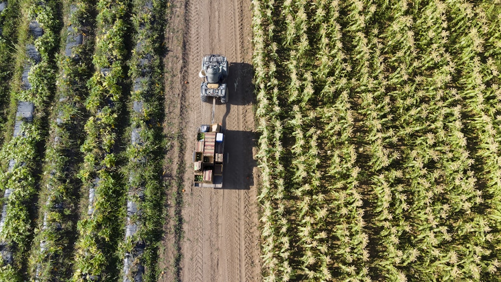 Tracteur agricole moissonnant un champ de culture sur une exploitation rurale en activite