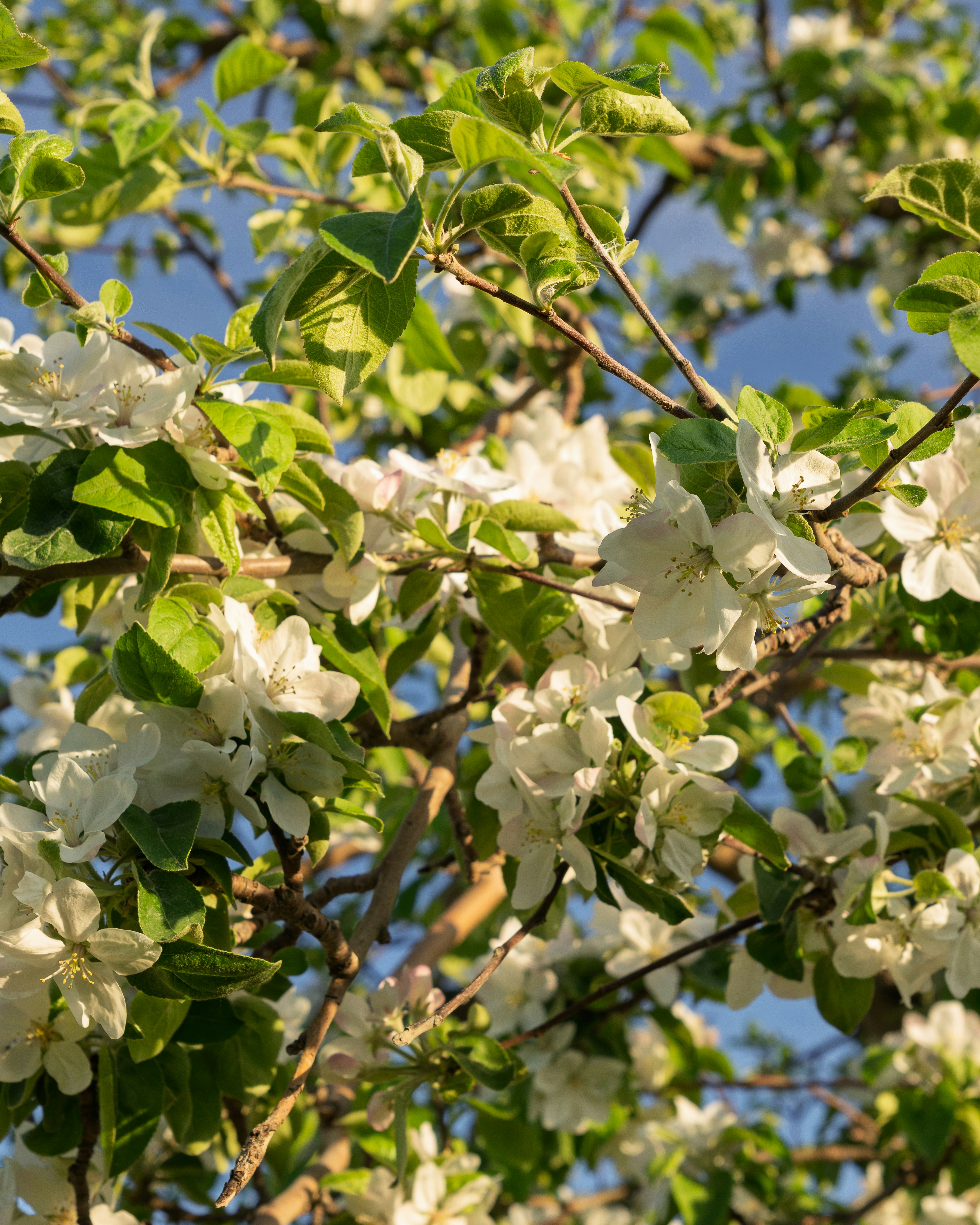 Photo by sabrinarizzo