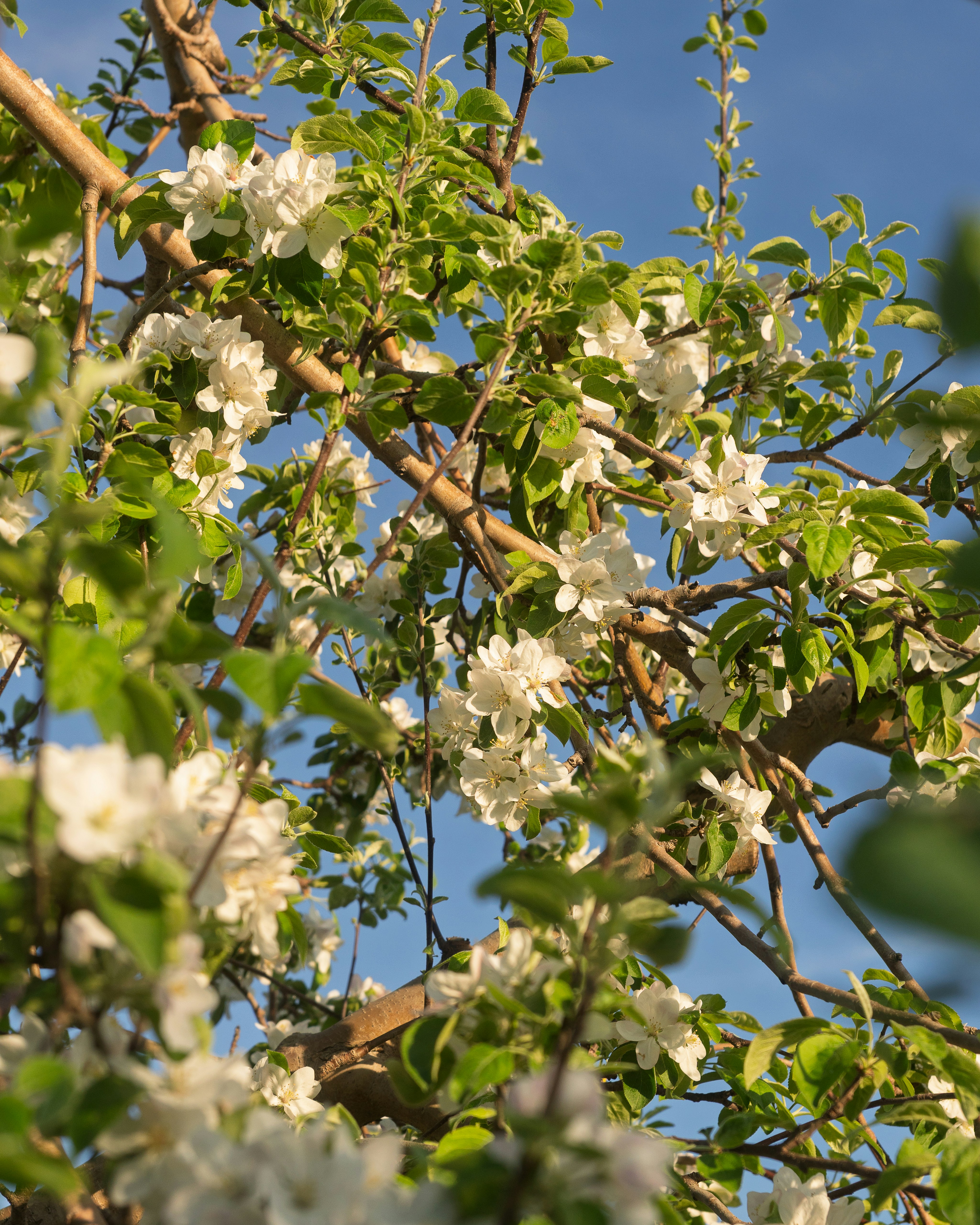 Photo by sabrinarizzo