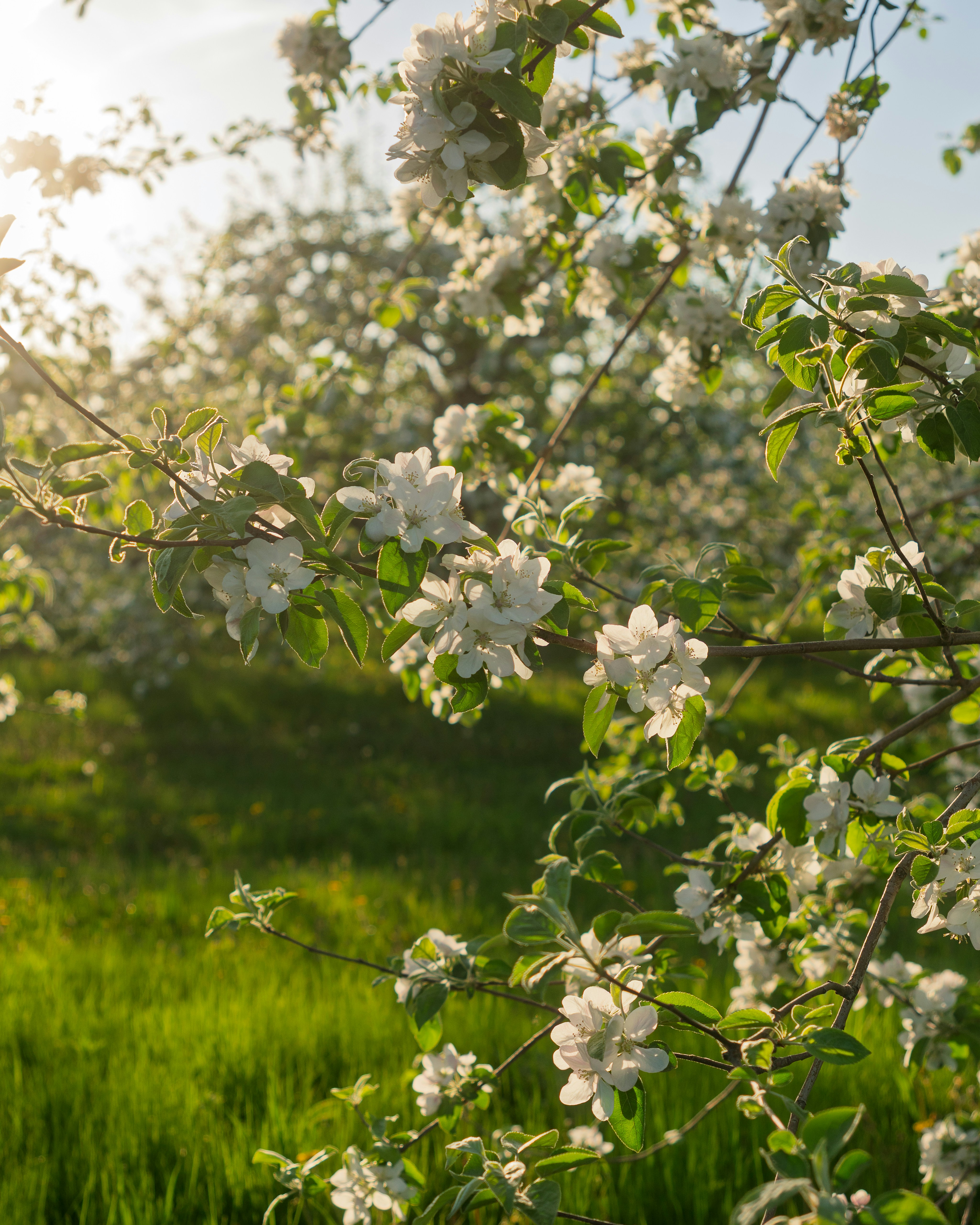 Photo by sabrinarizzo