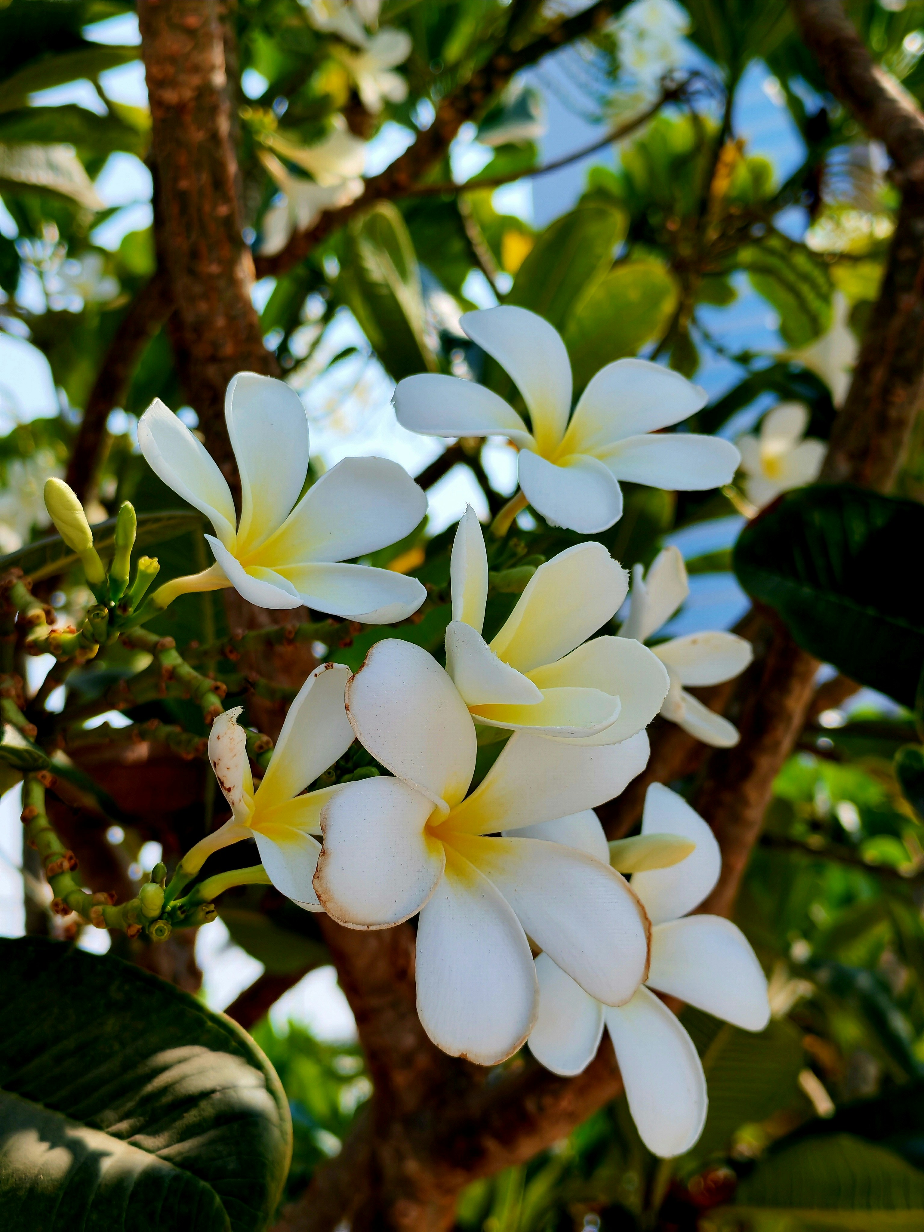 Photo by v91_photography