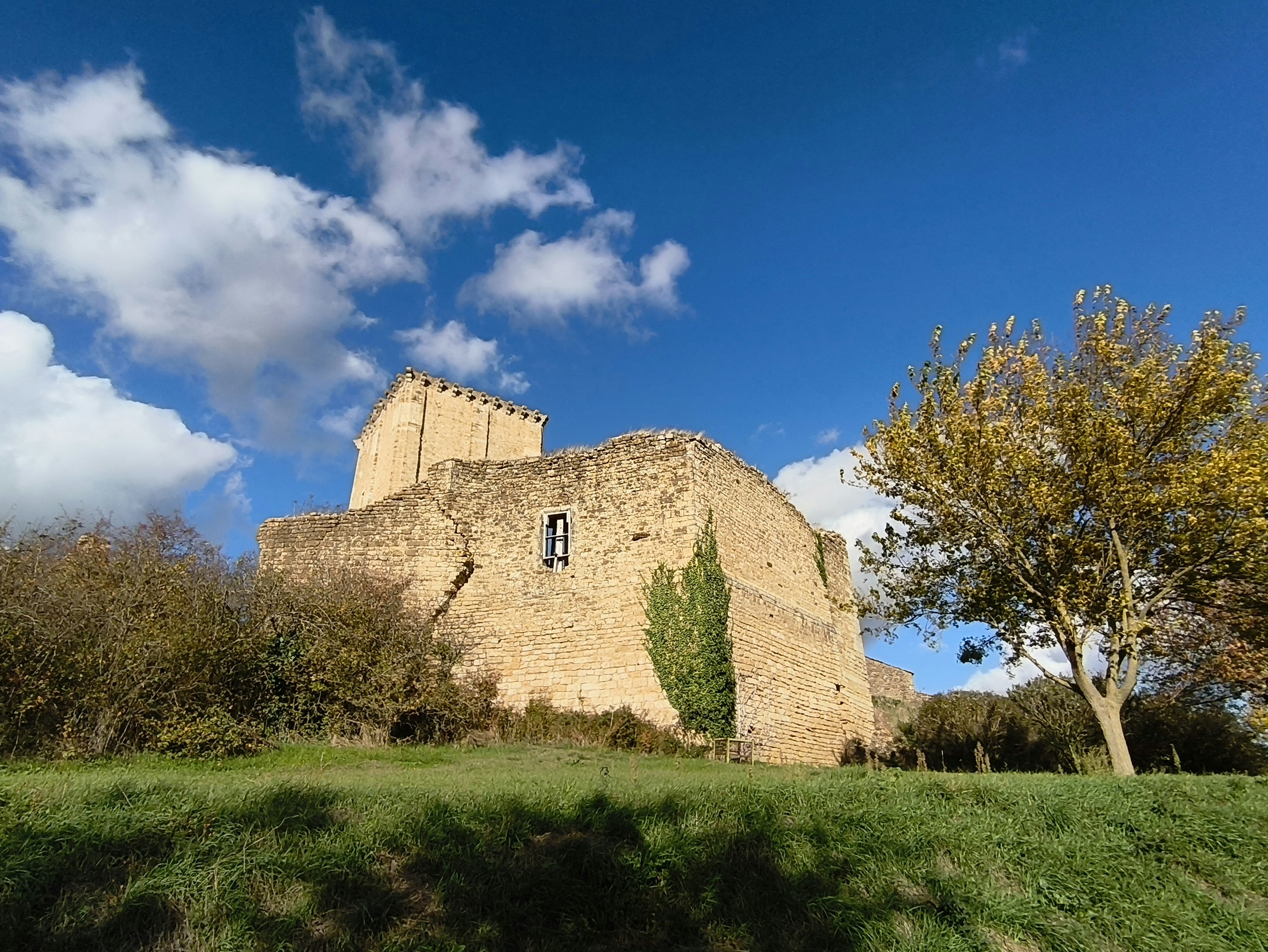 Photo by geraldine86170