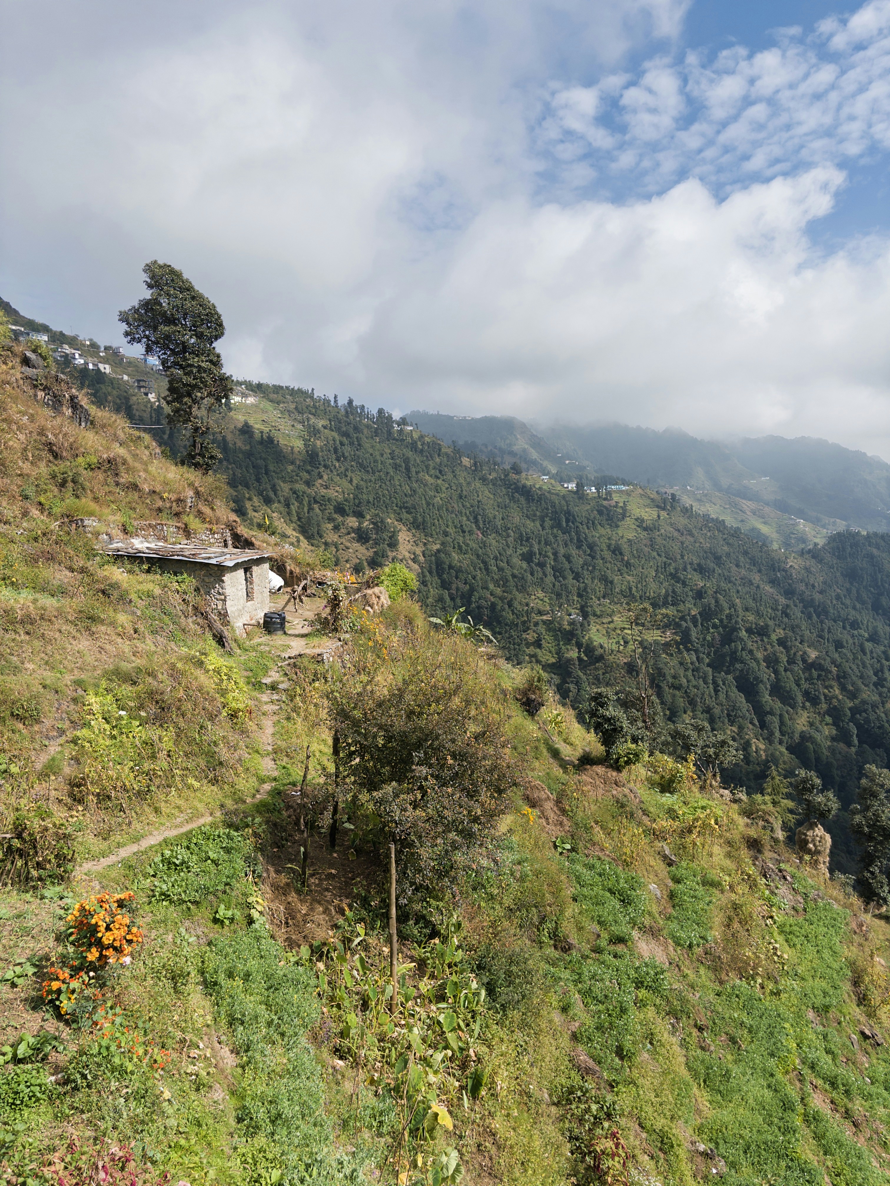 Photo by musicnation