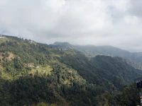 Cafes With the Fastest Wifi in Shillong (Speeds Actually Tested)