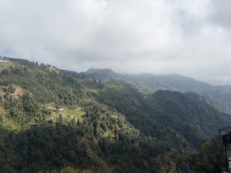 Cafes With the Fastest Wifi in Shillong (Speeds Actually Tested)