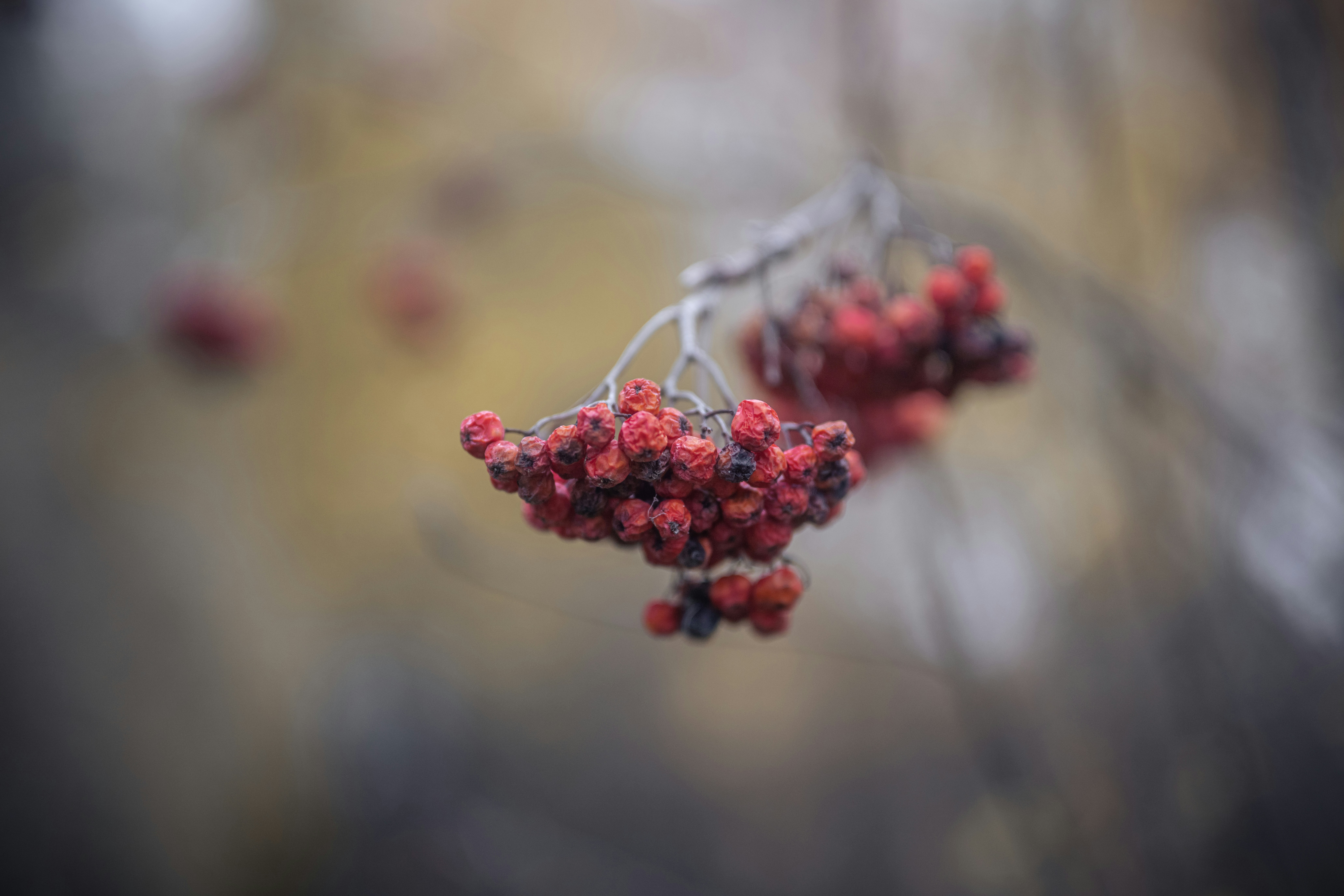 Photo by andreystrizhkov