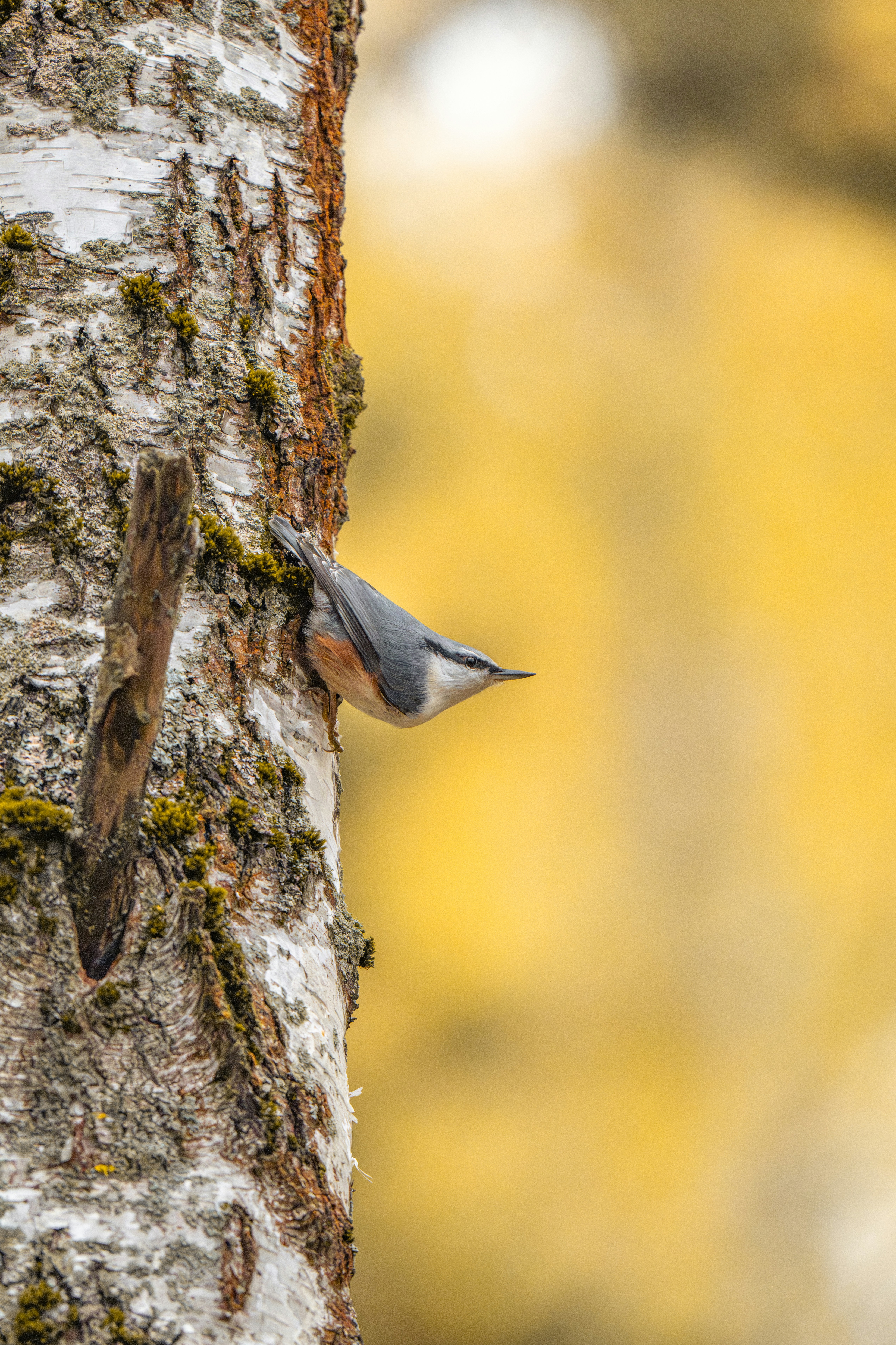 Photo by andreystrizhkov
