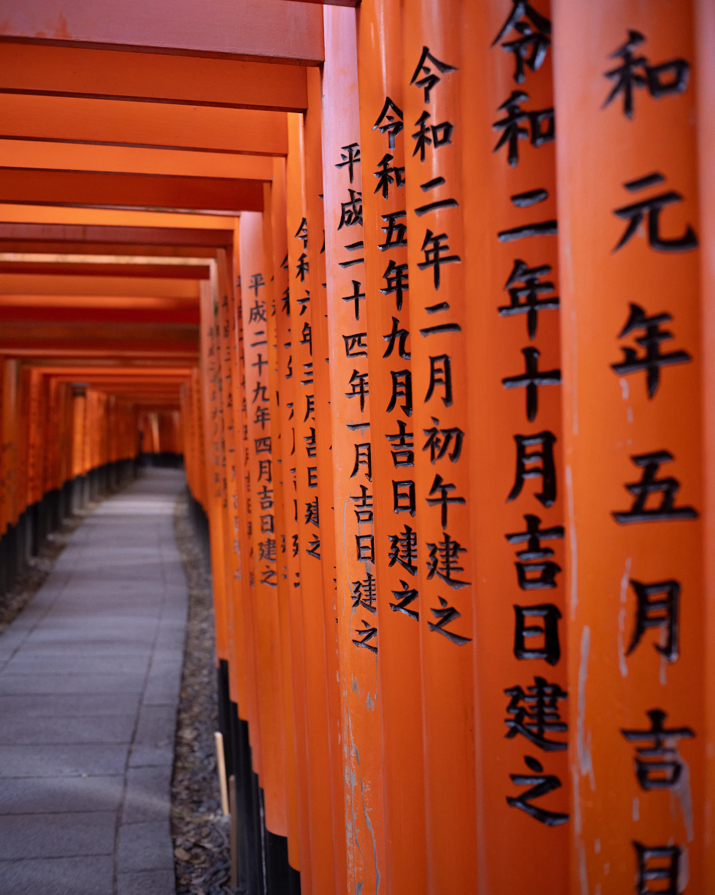 Thousands of vermilion torii gates forming a glowing tunnel up the wooded slope of Mount Inari at Fushimi Inari Taisha, Kyoto, in early morning light