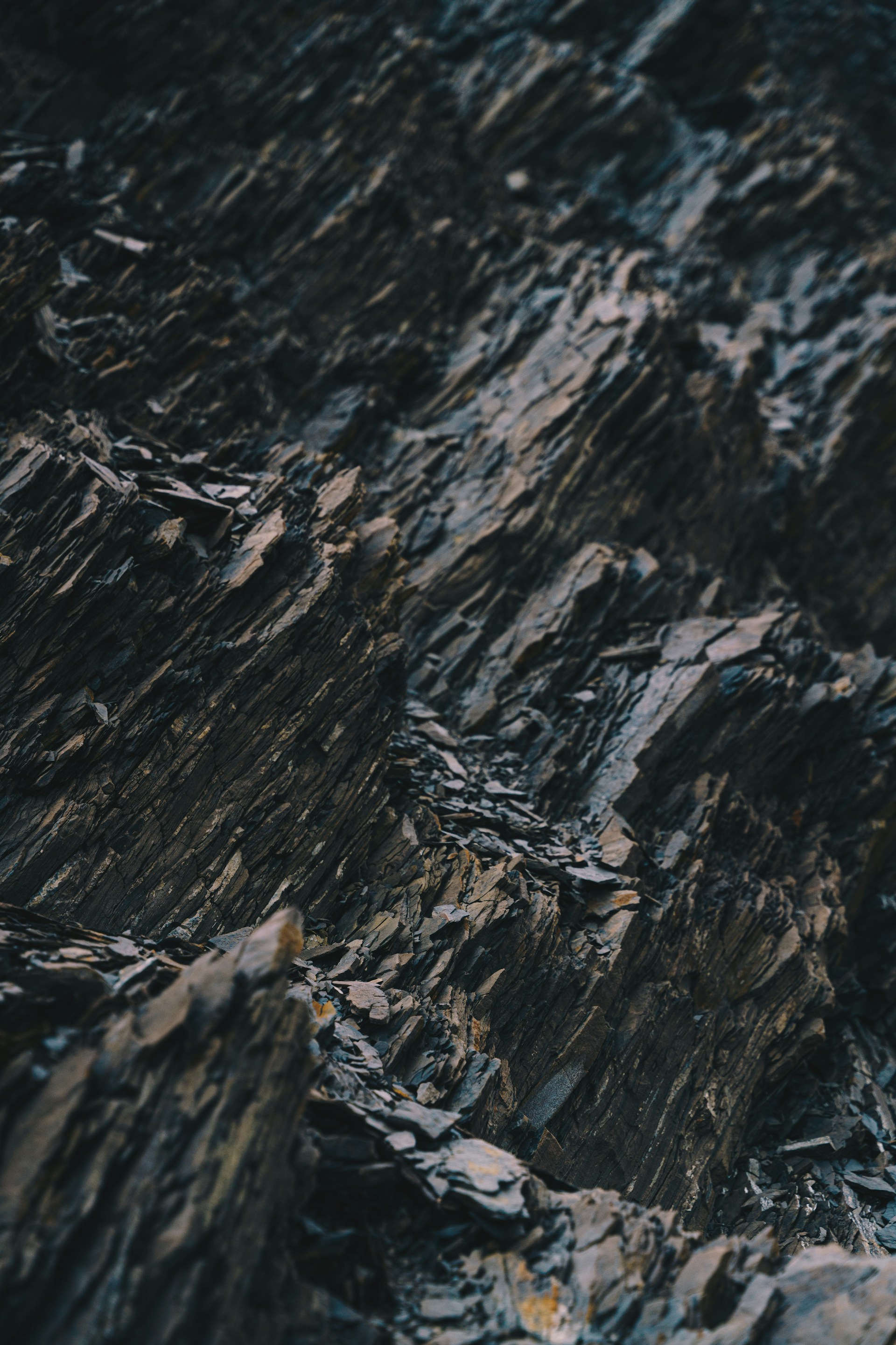 Dark, layered rock formation with textured detail