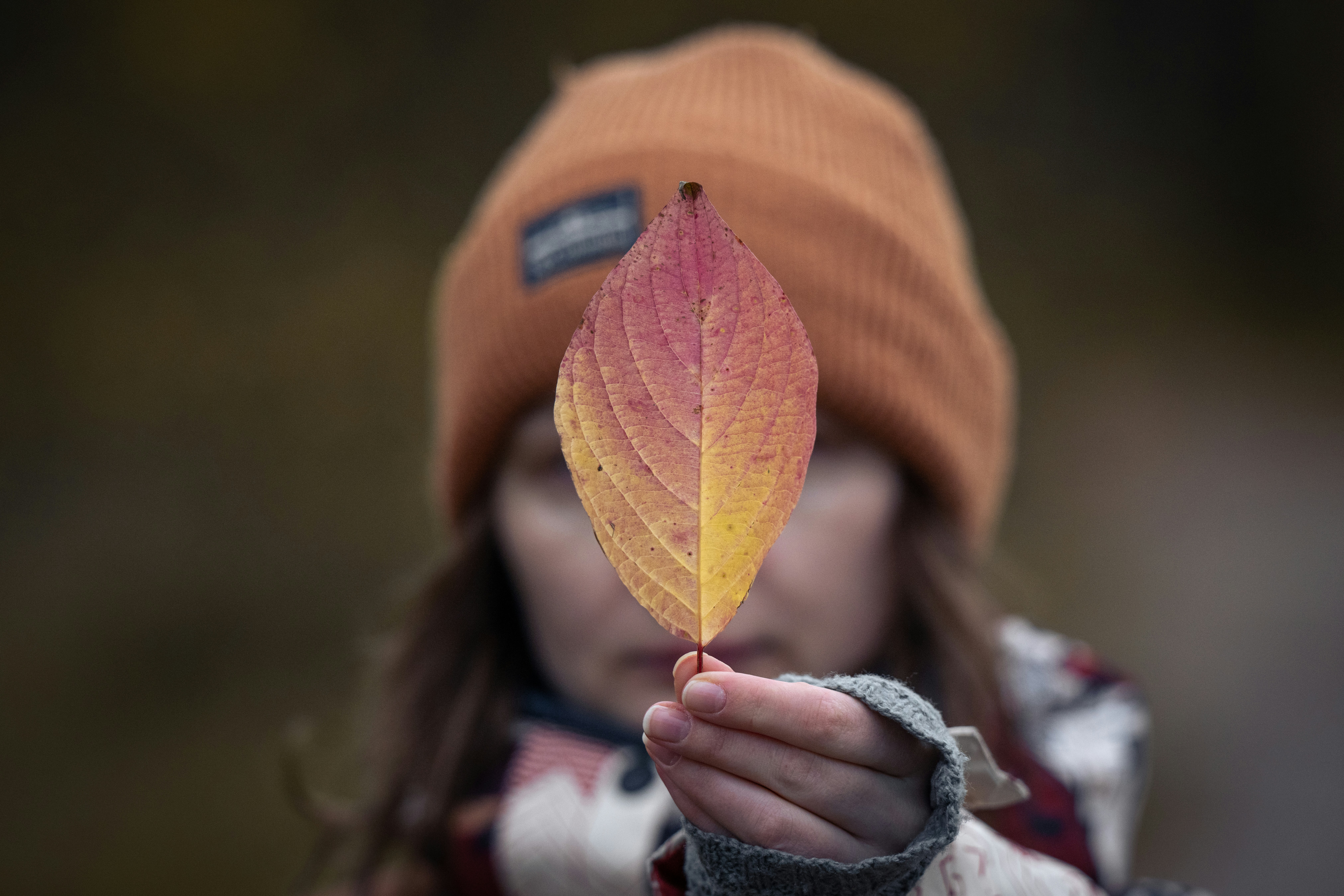 Photo by andreystrizhkov