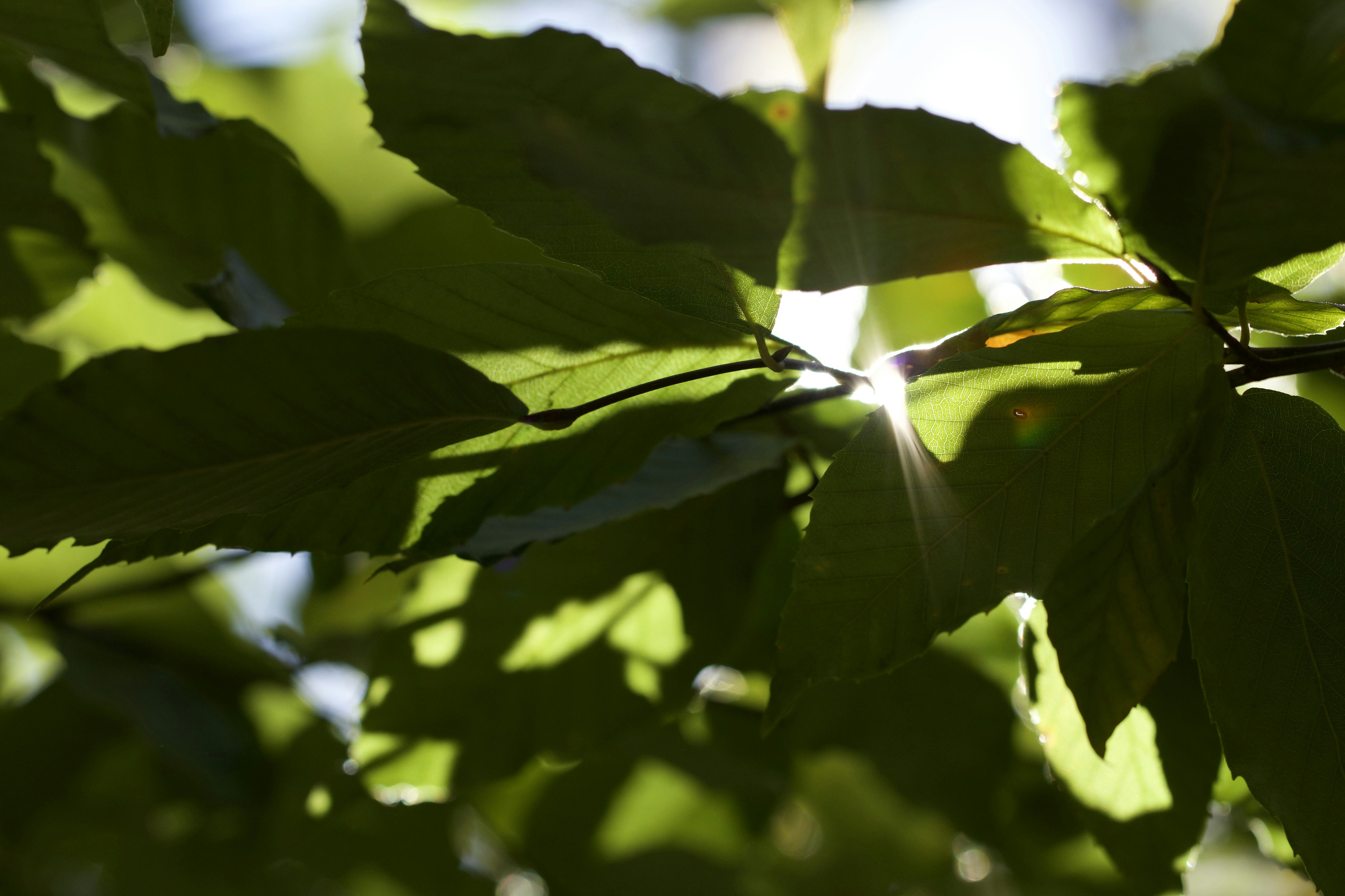 Photo by jennyy_almanzaa