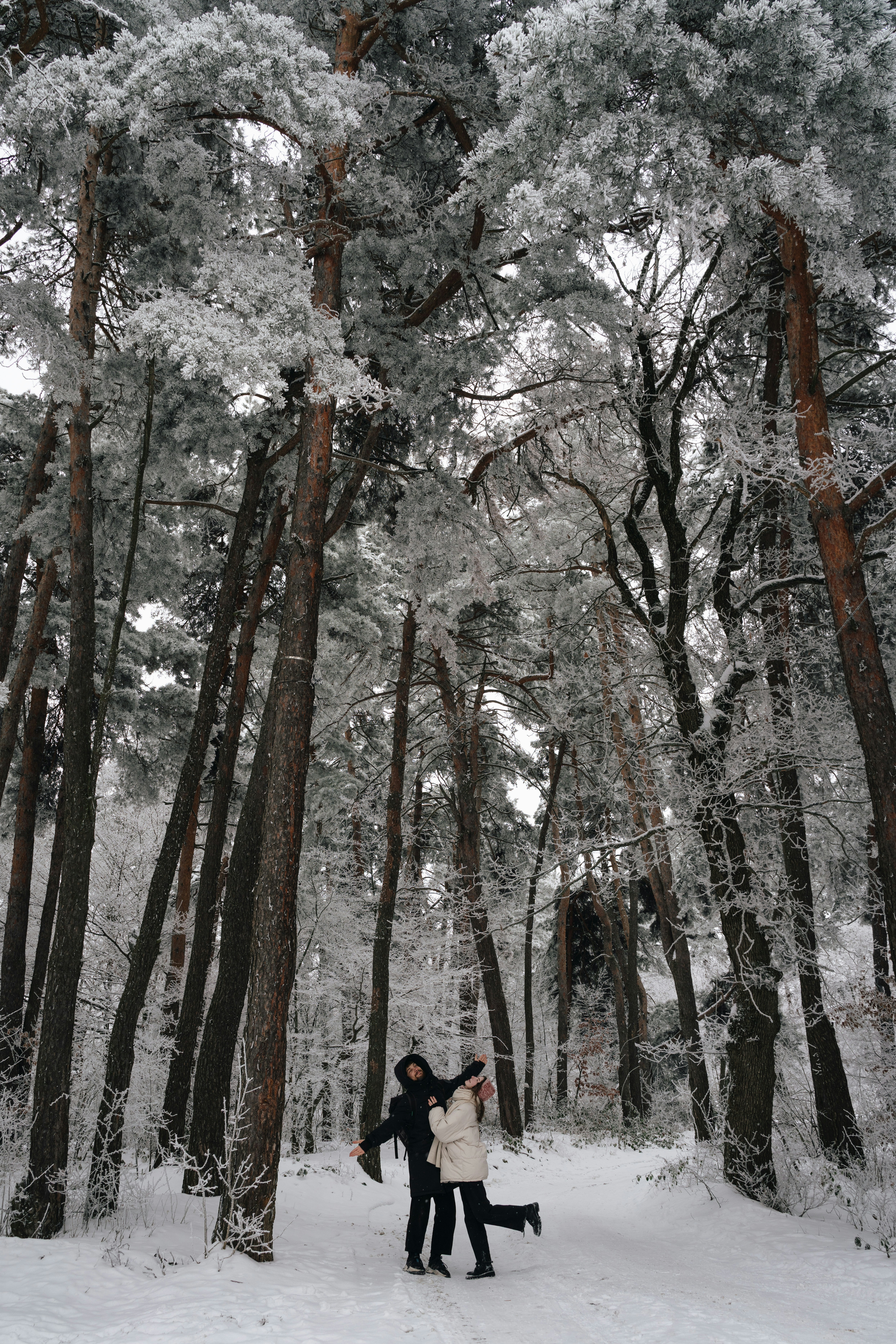 Couple embracing in a snowy winter forest.