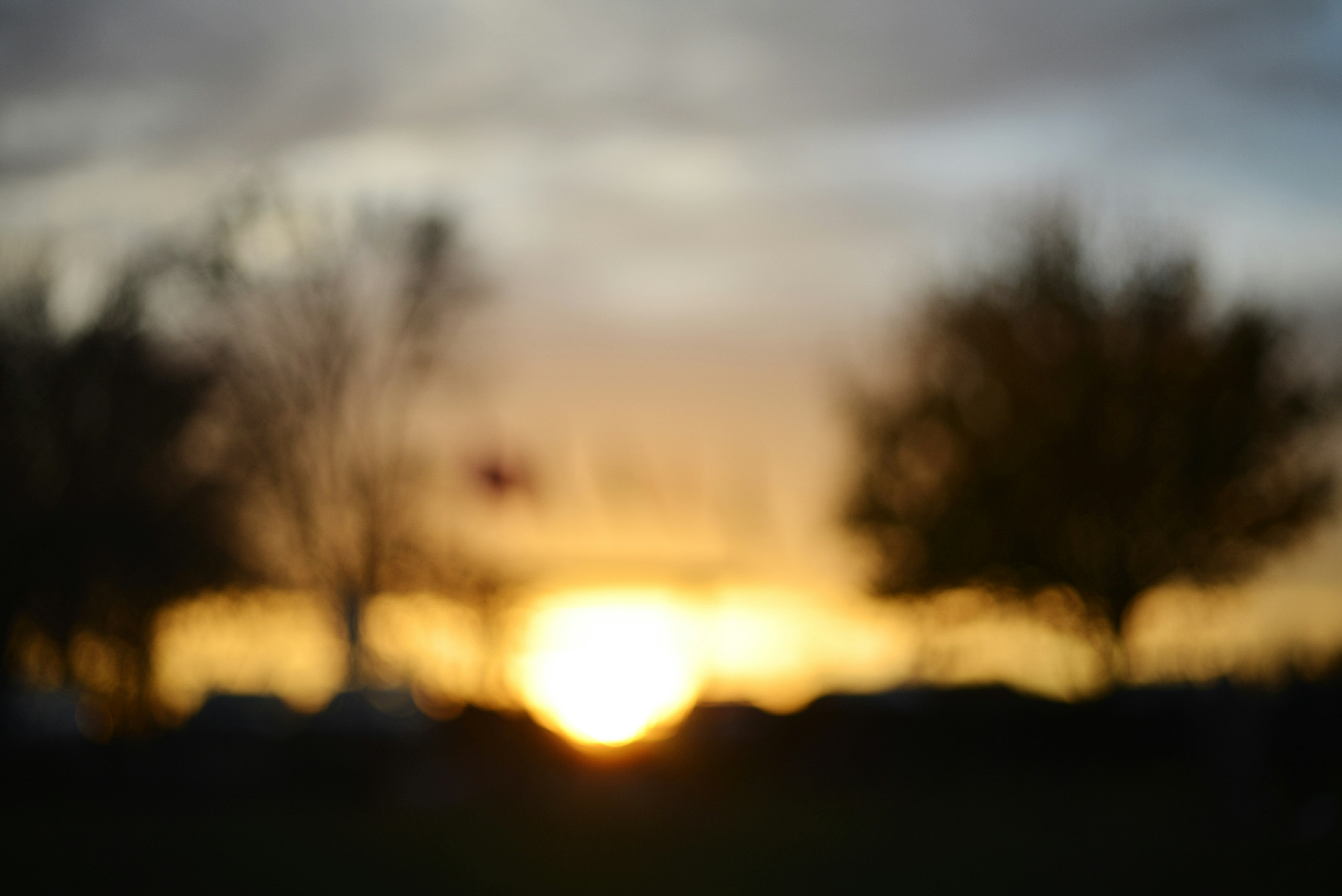 Photo by cherstve_pechivo