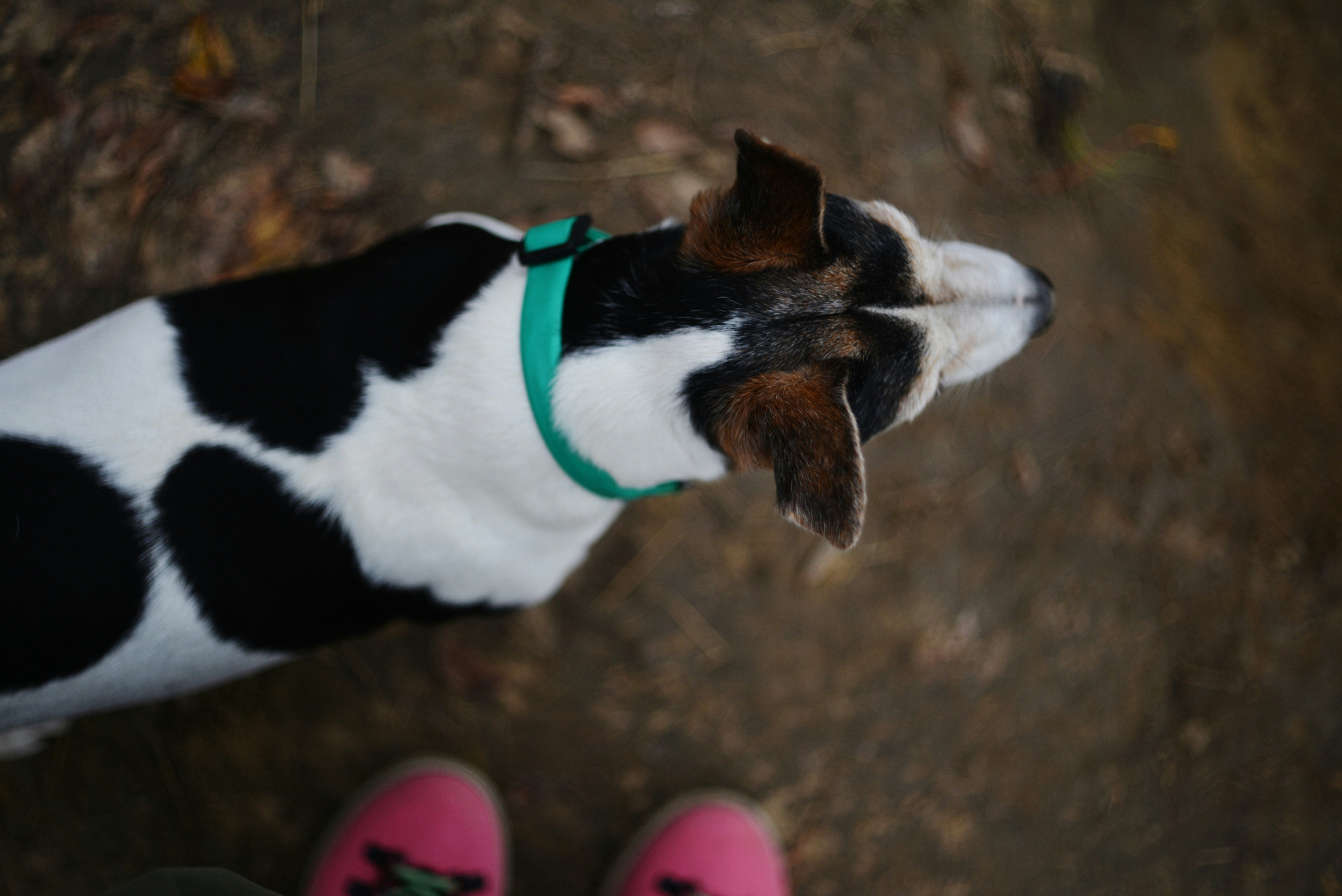 Photo by cherstve_pechivo