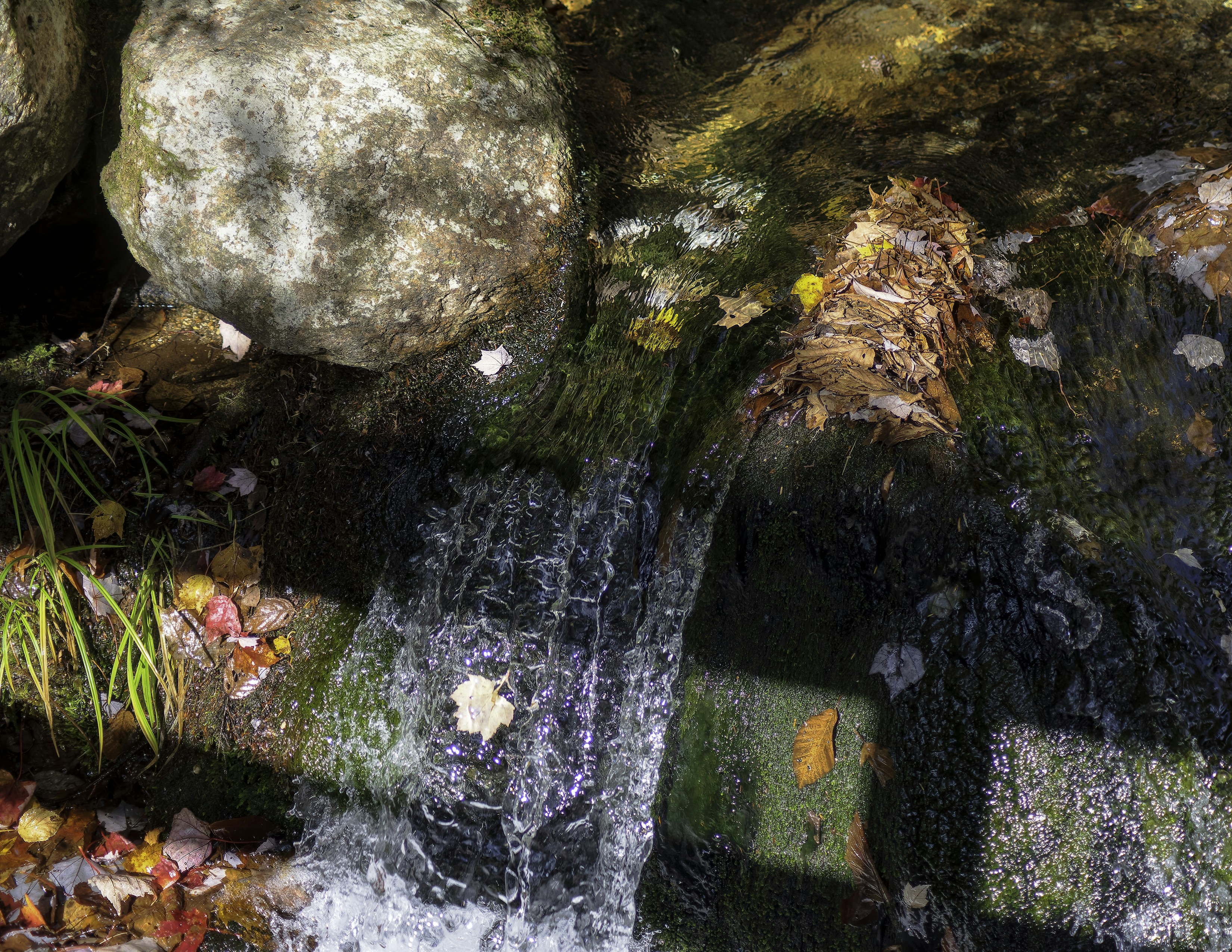 Small waterfall with autumn leaves and mossy rocks