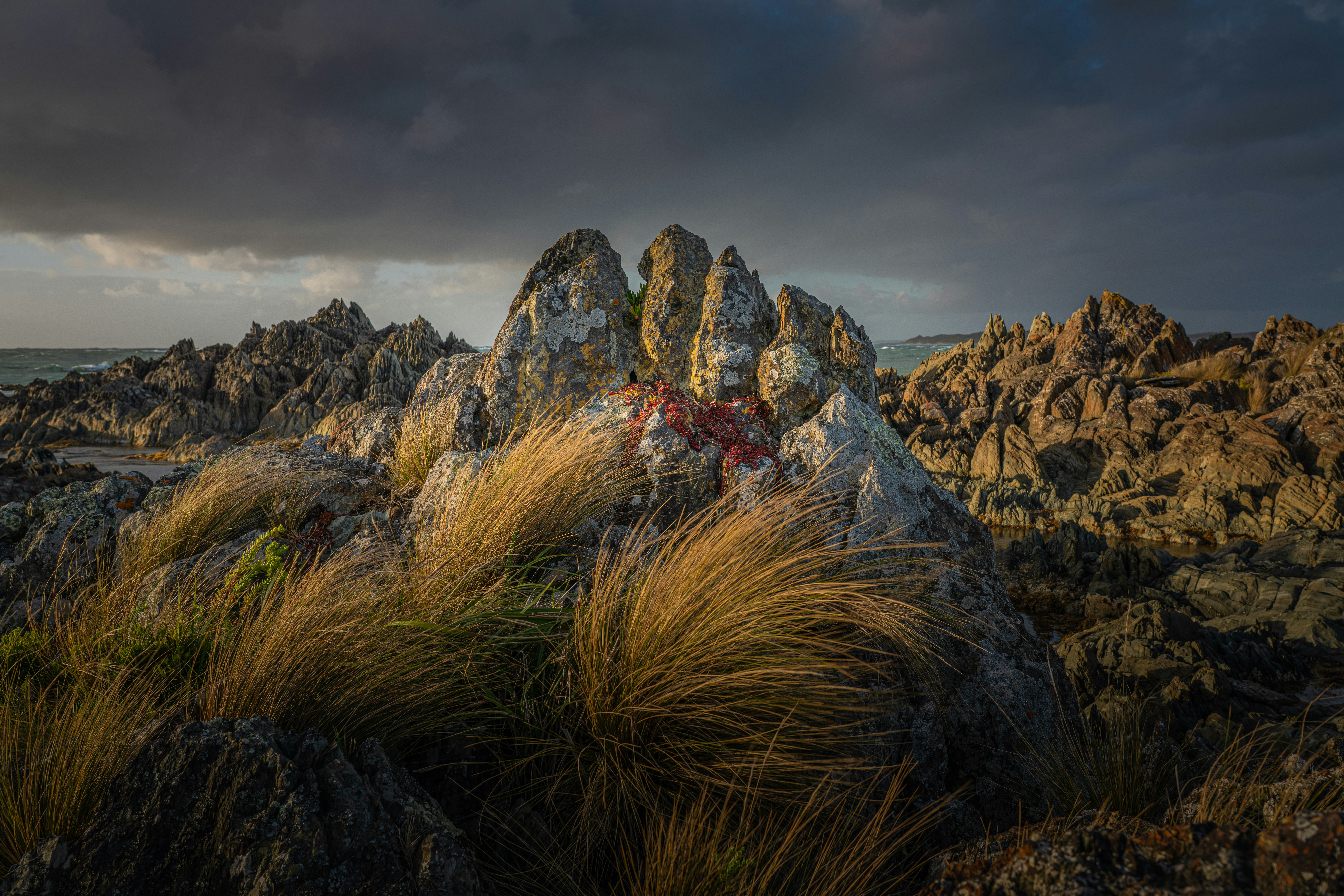 Rocky coastline with dry grass under stormy sky