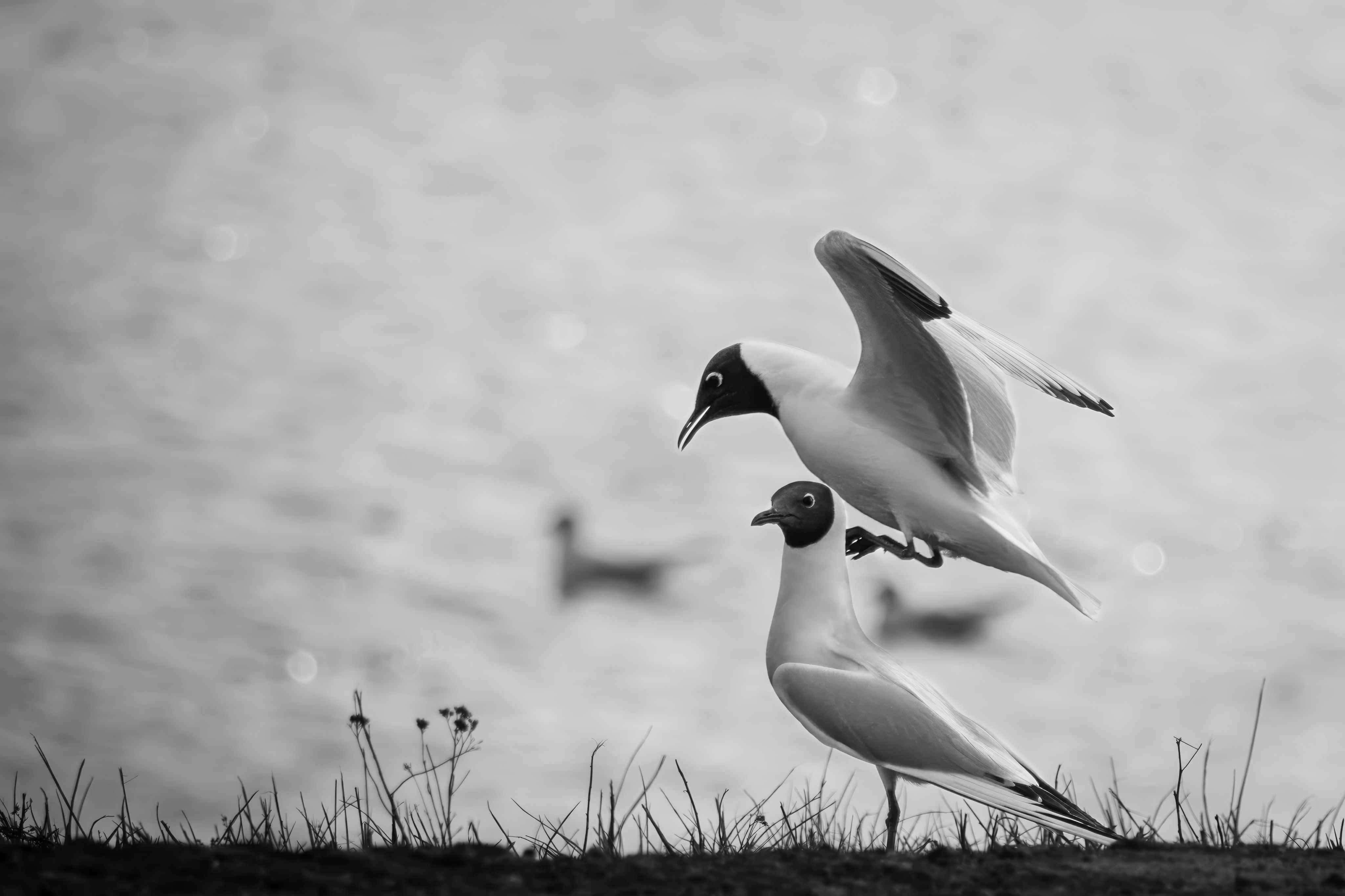 Photo by matt_liatkouski