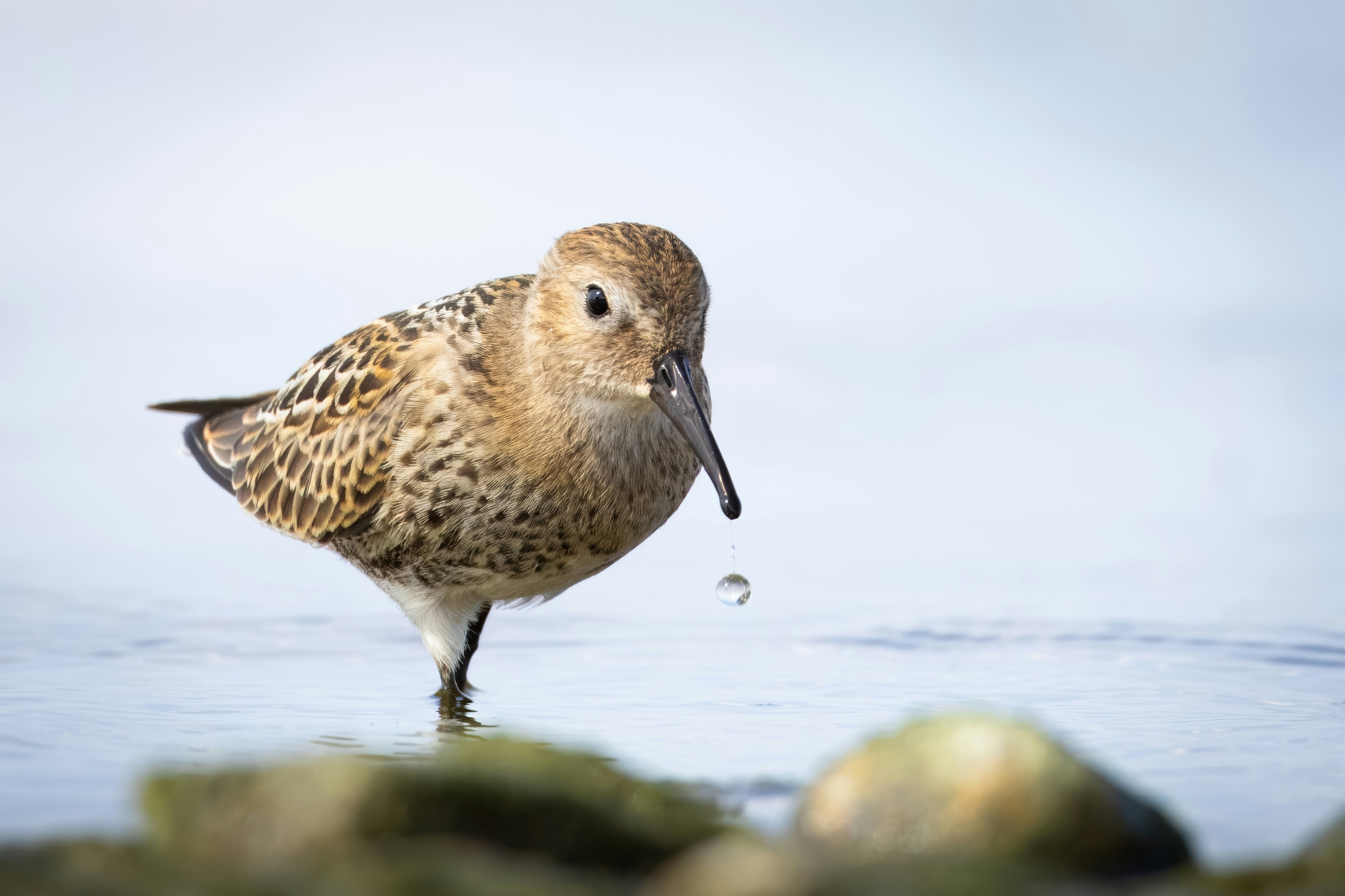 Photo by matt_liatkouski