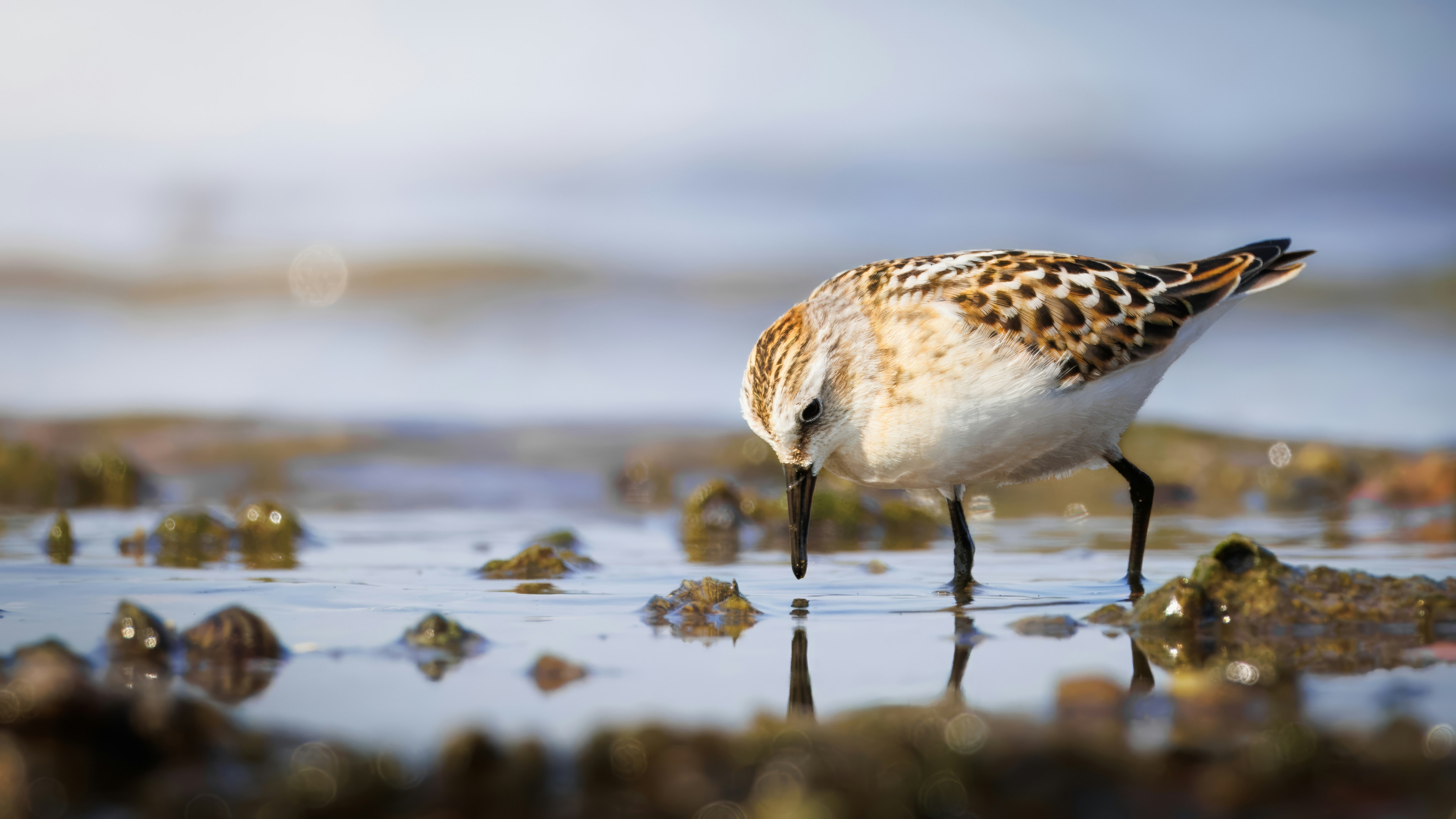 Photo by matt_liatkouski