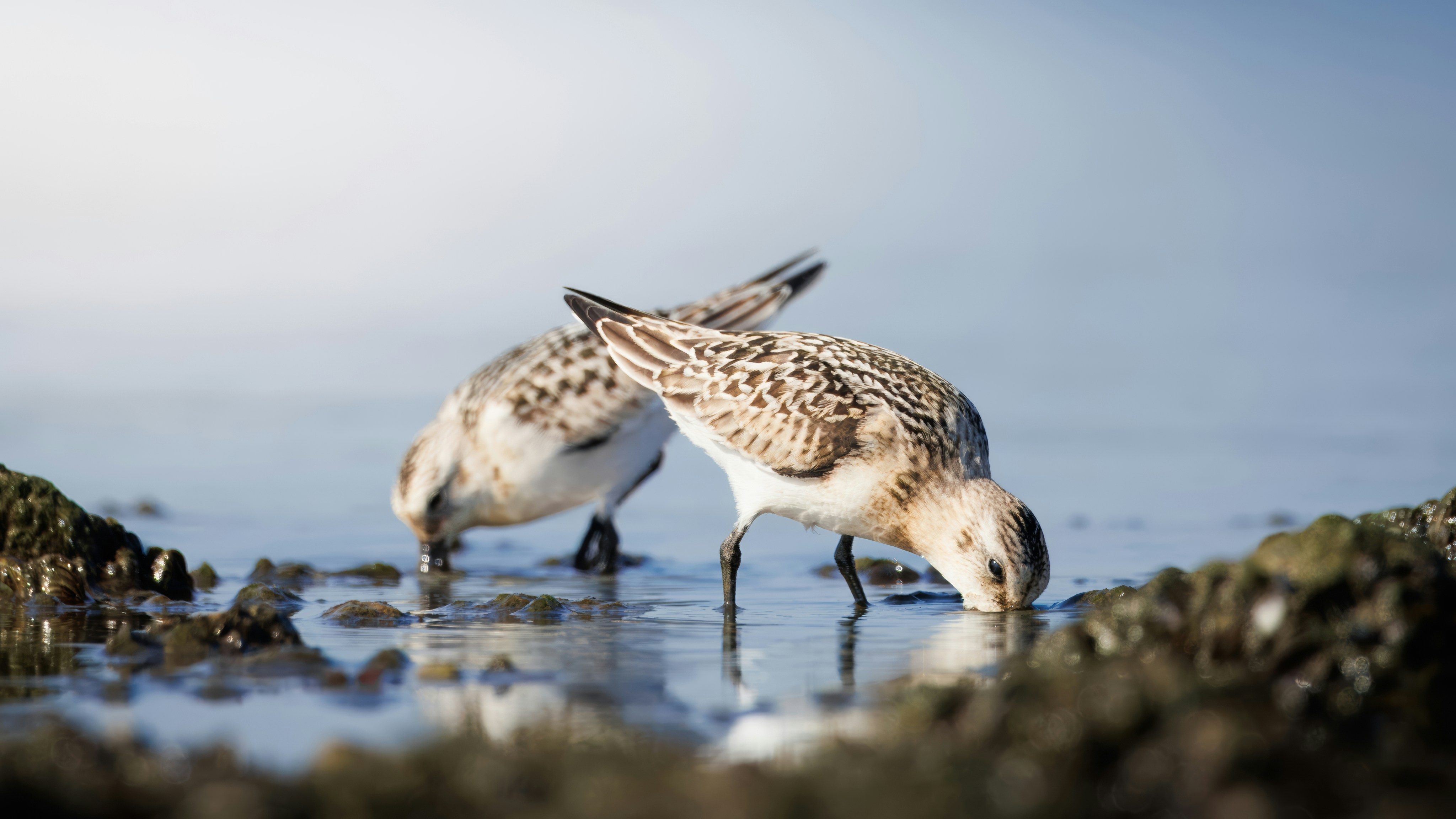 Photo by matt_liatkouski