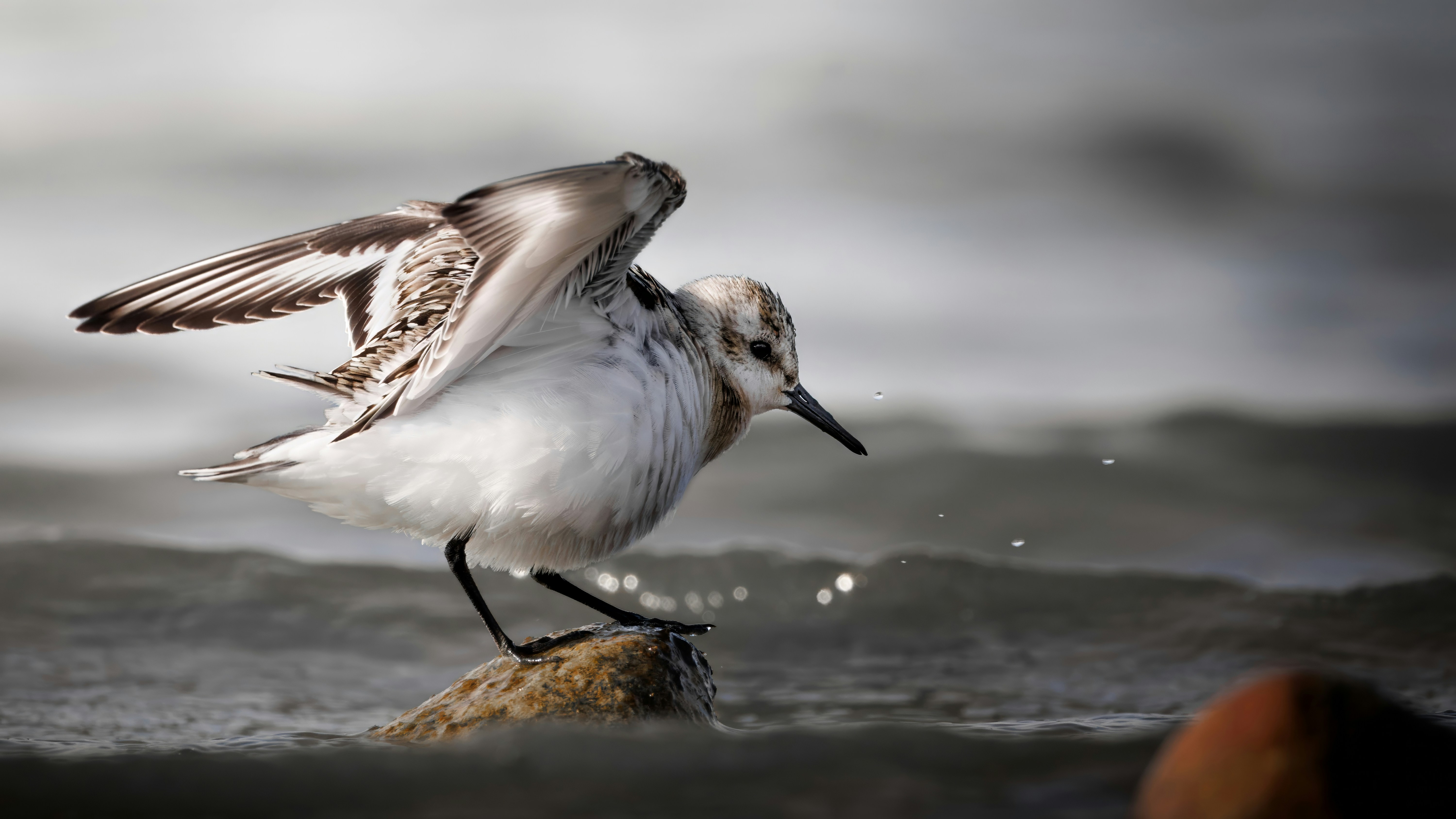 Photo by matt_liatkouski