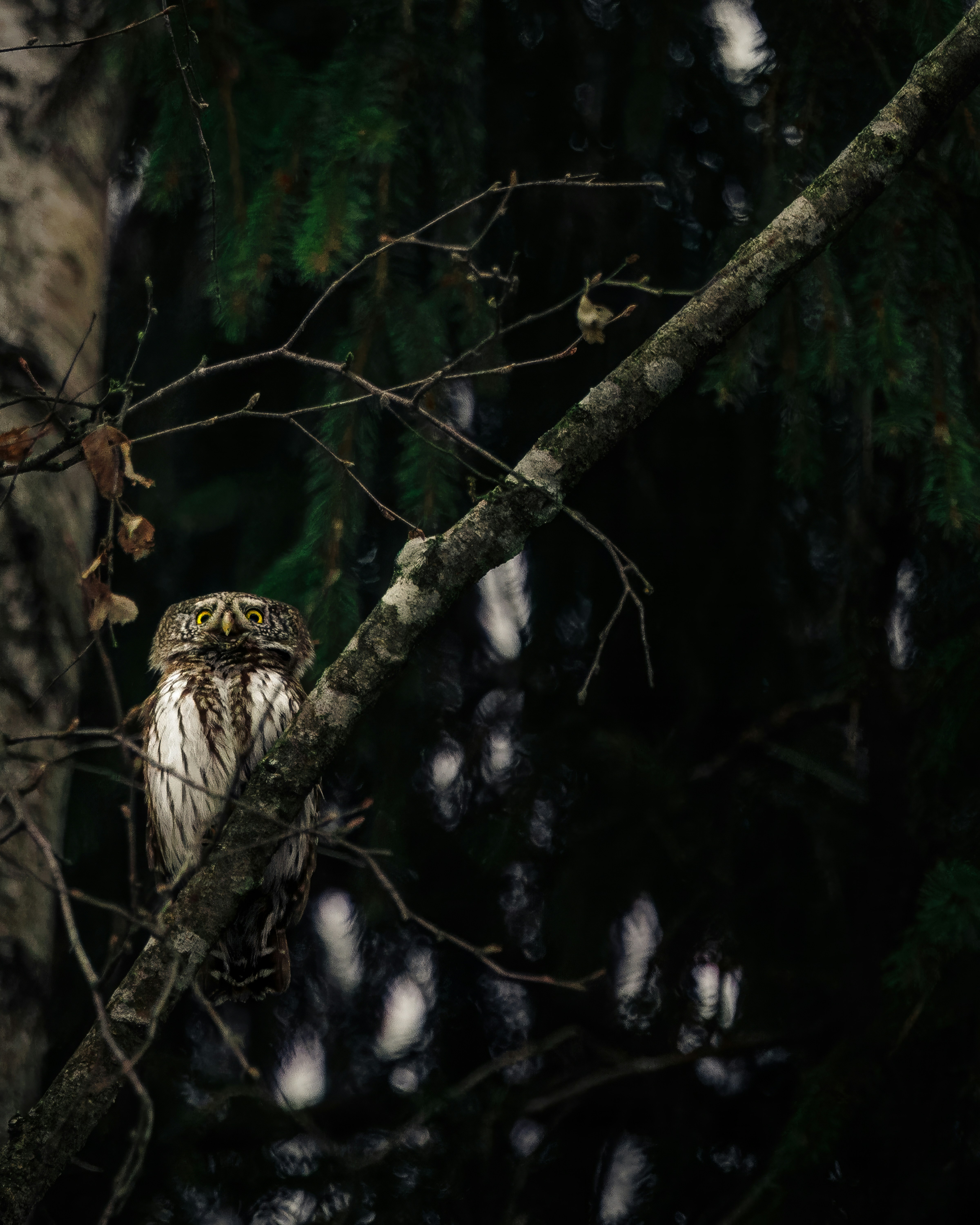 Photo by matt_liatkouski