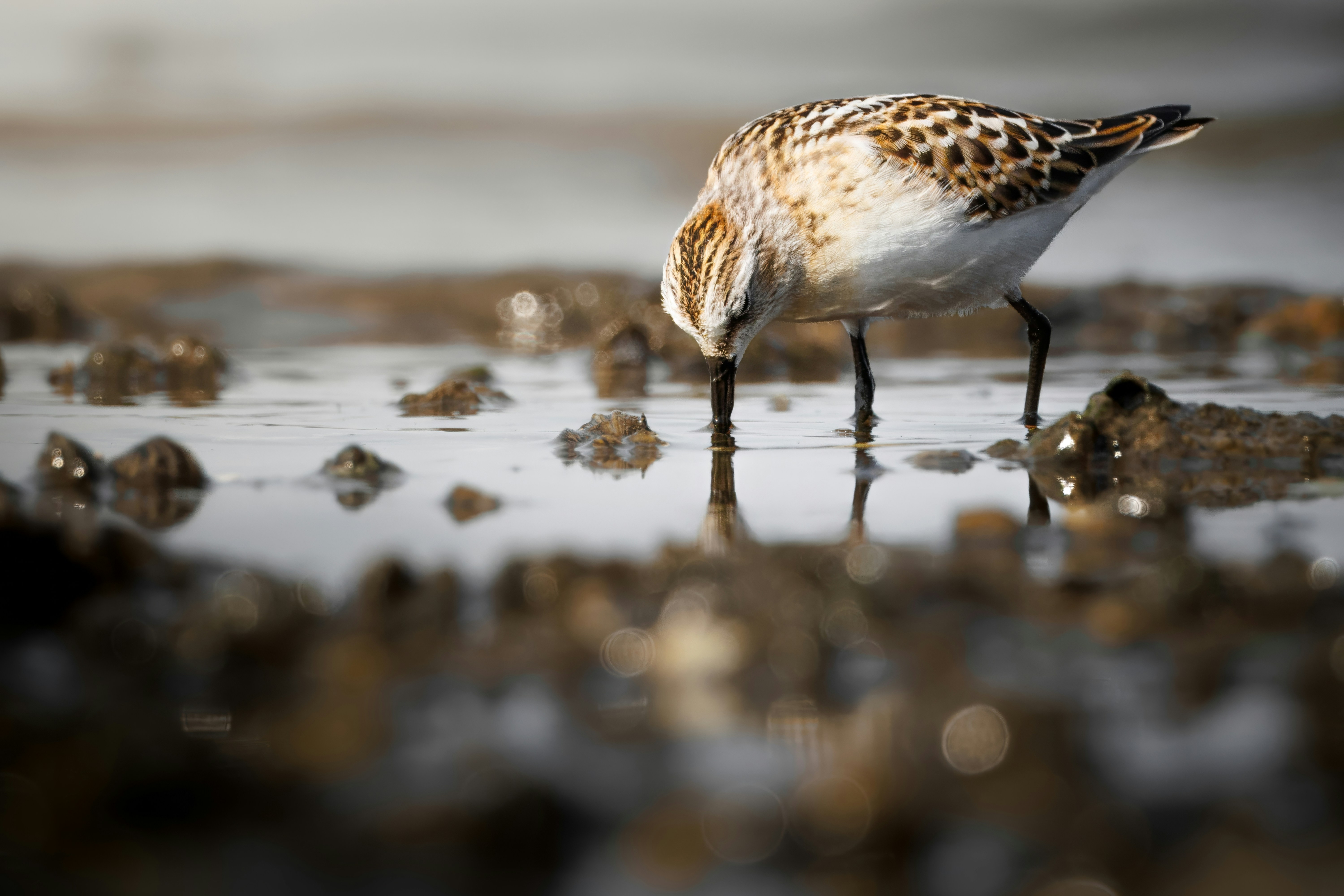 Photo by matt_liatkouski