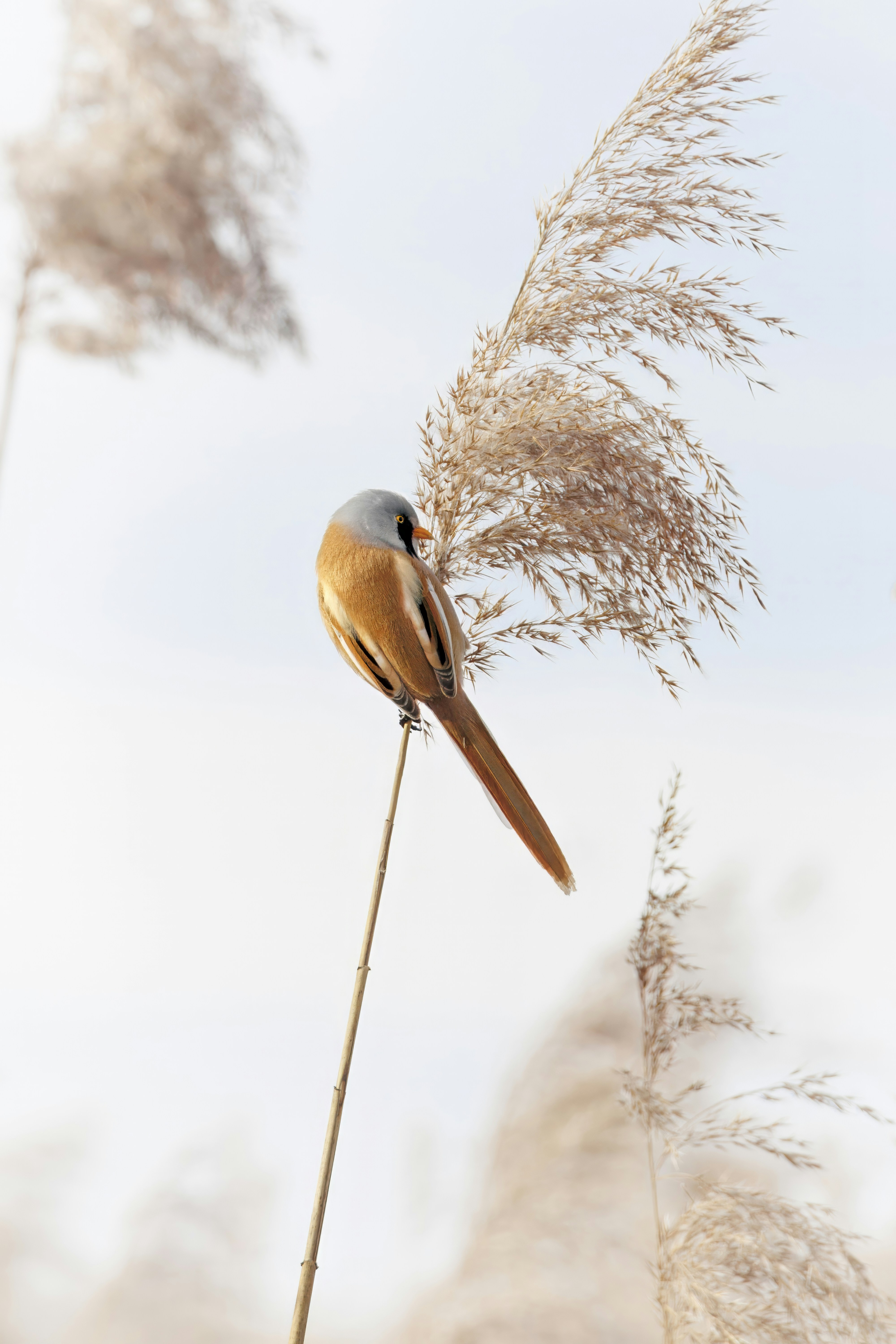 Photo by matt_liatkouski