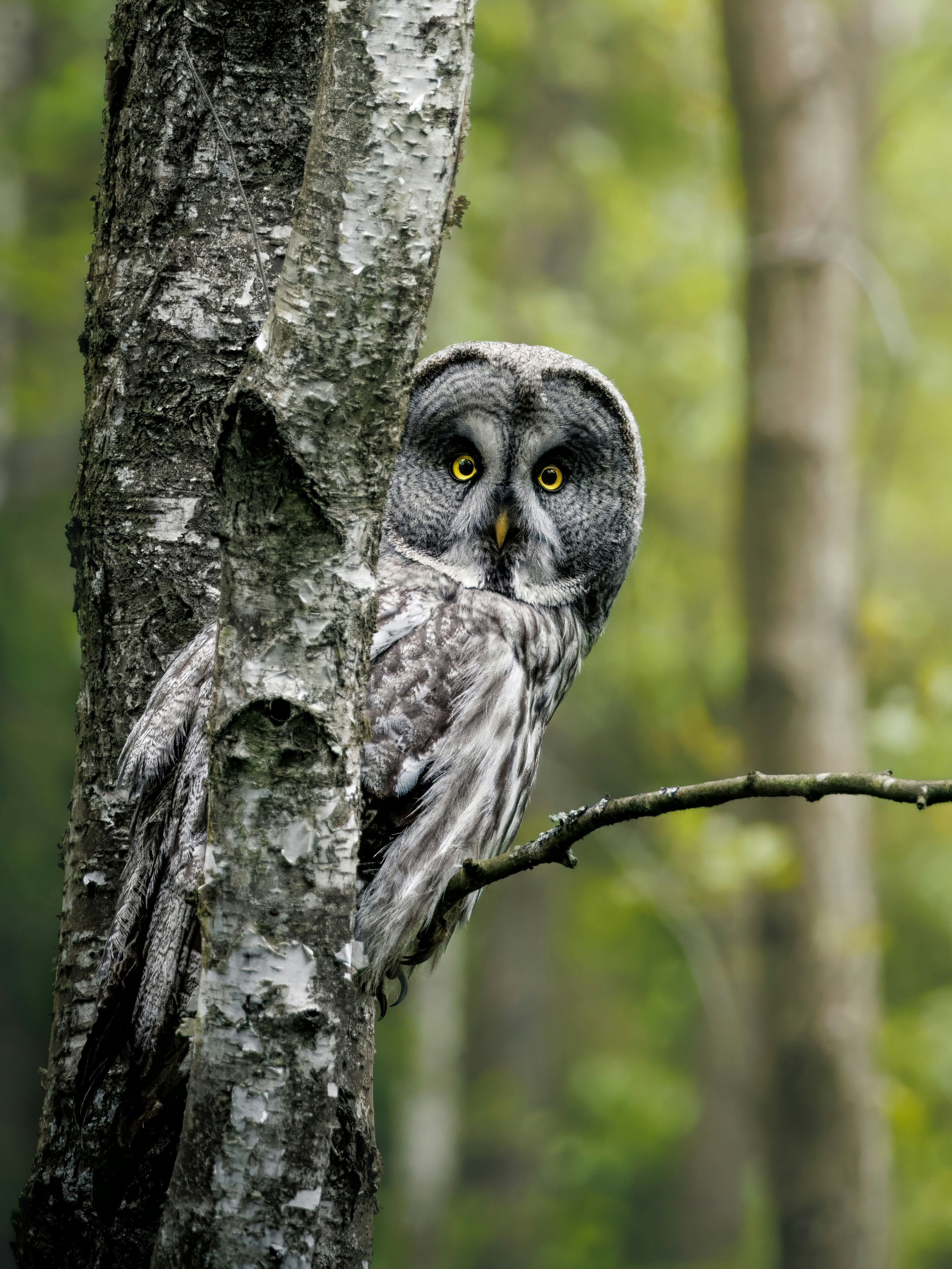 Photo by matt_liatkouski