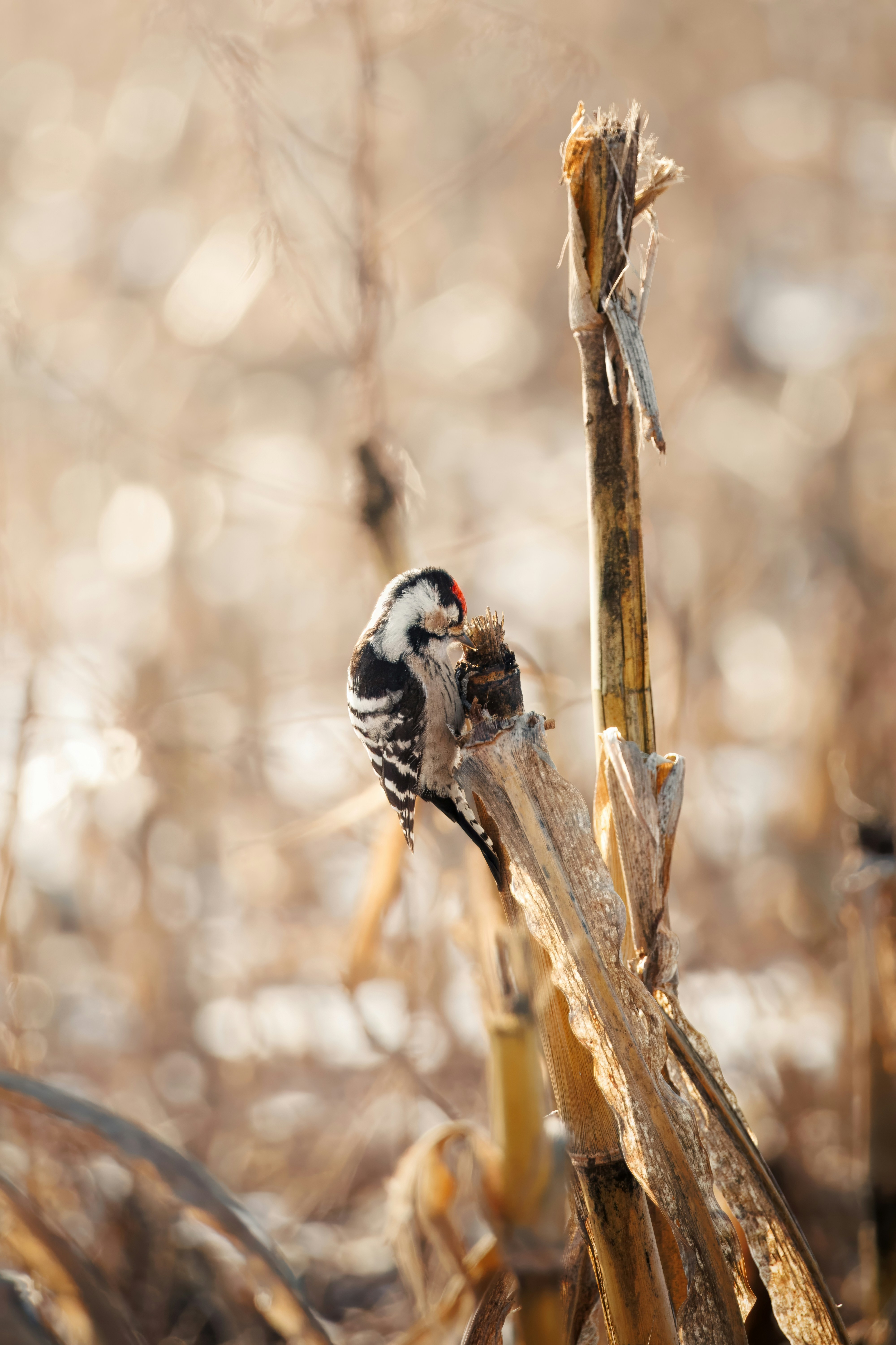 Photo by matt_liatkouski