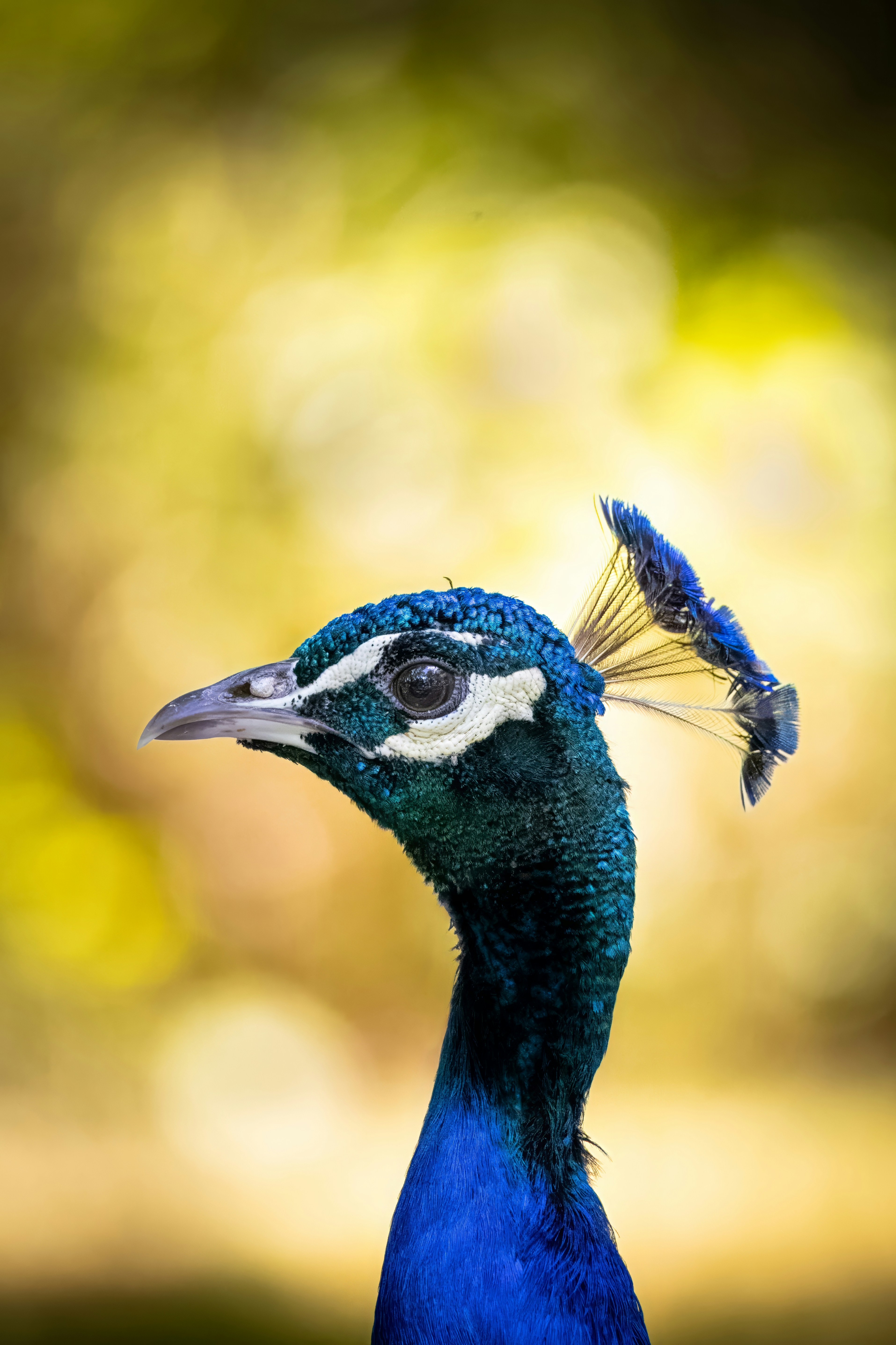 Photo by matt_liatkouski