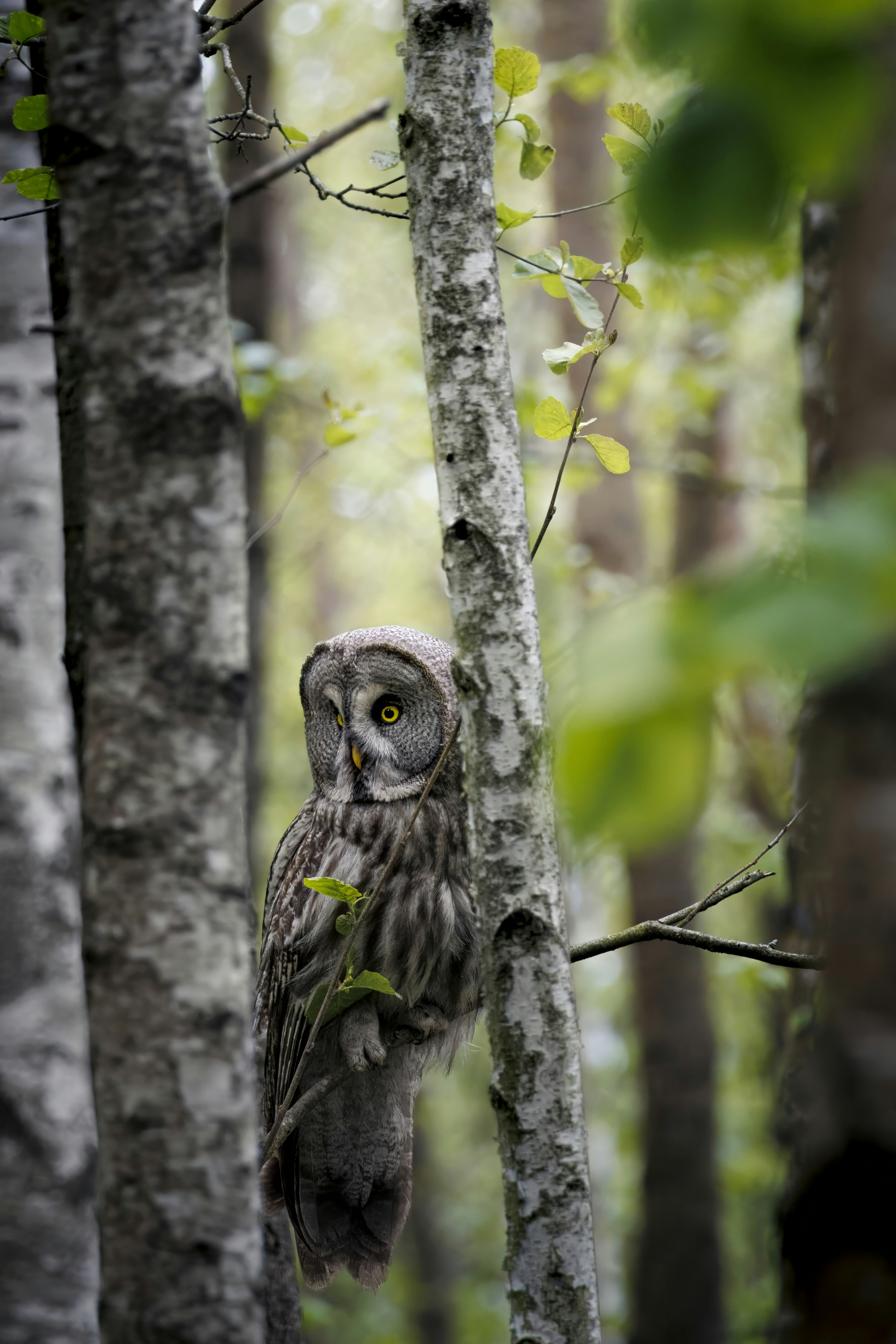 Photo by matt_liatkouski