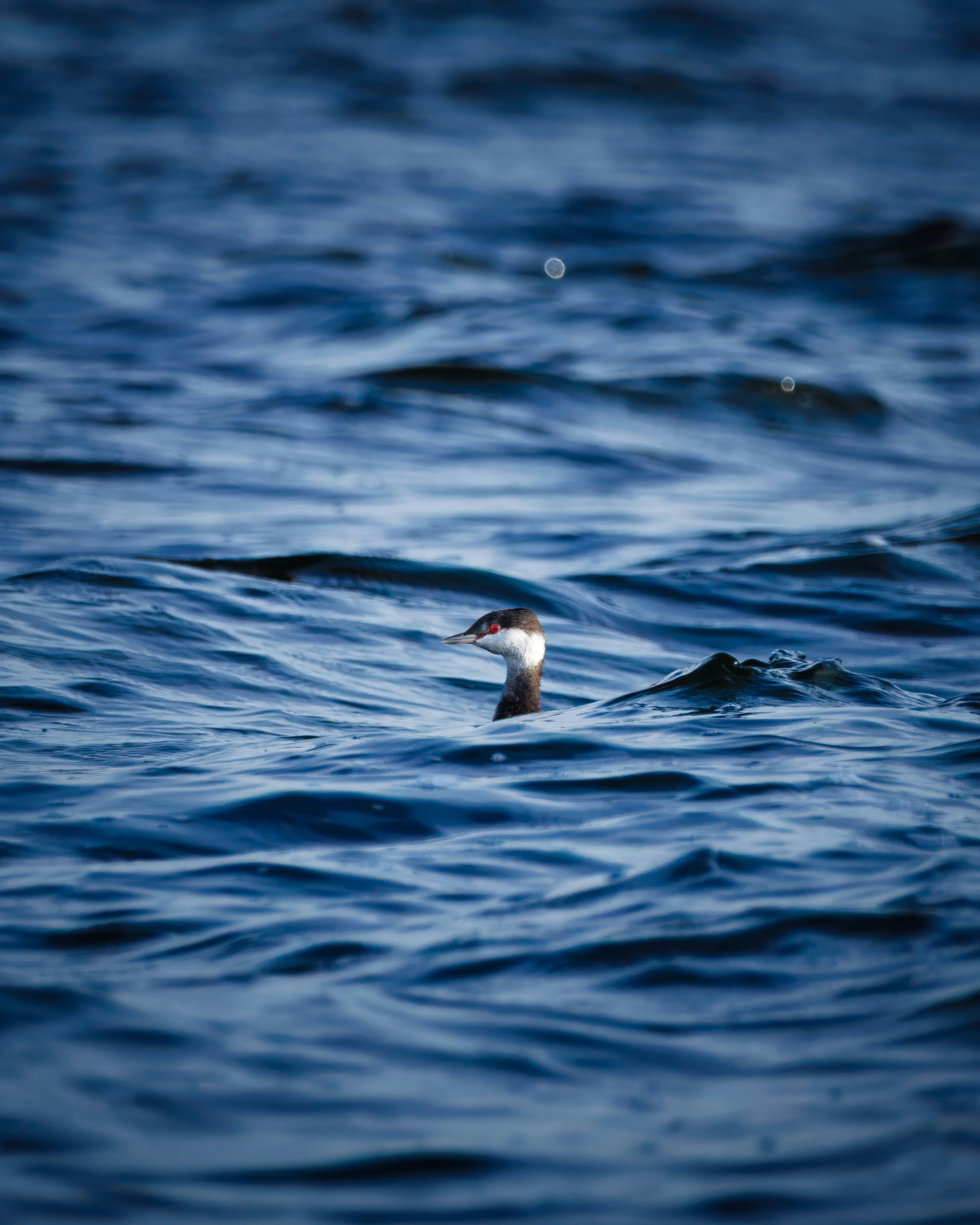 Photo by matt_liatkouski