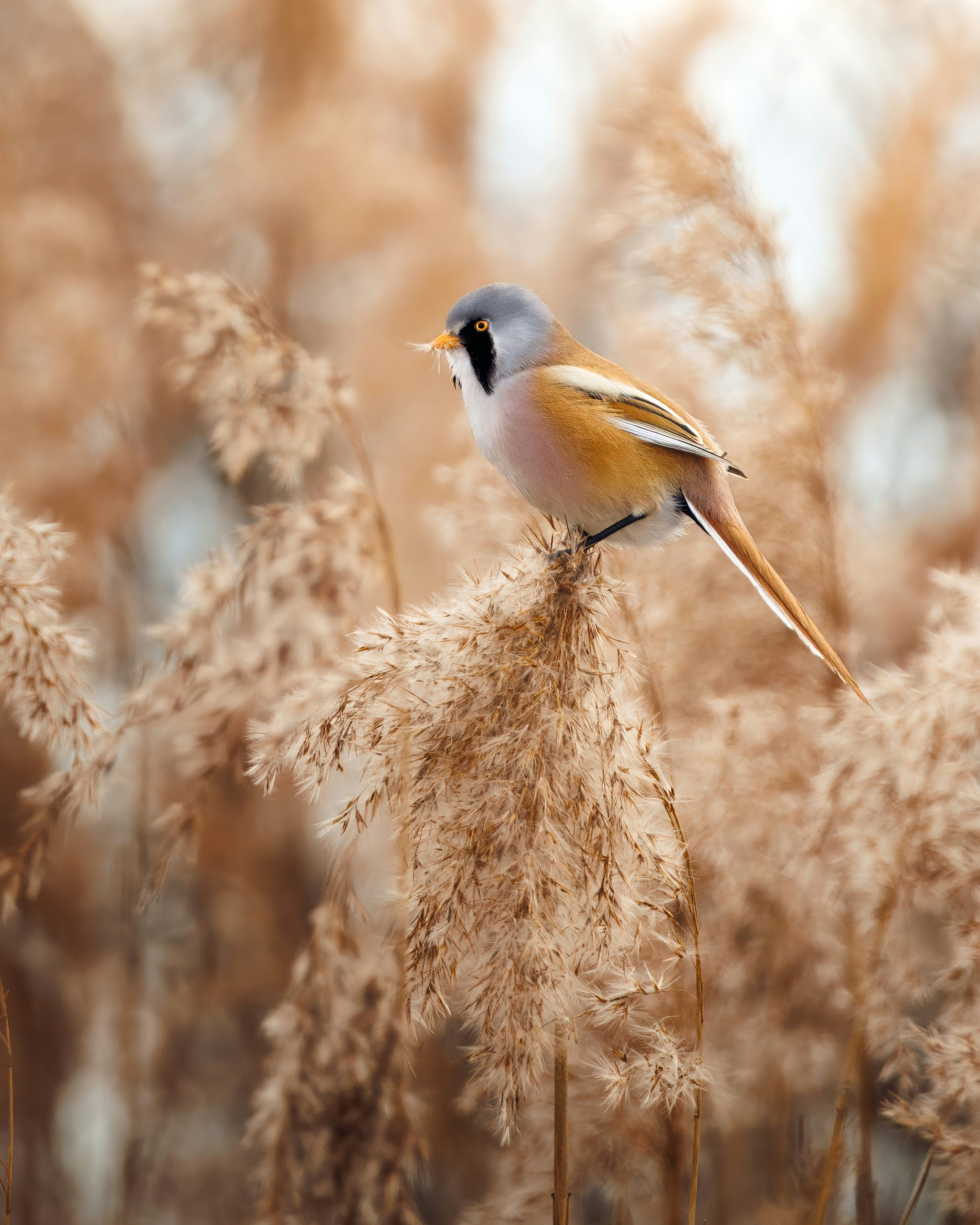 Photo by matt_liatkouski