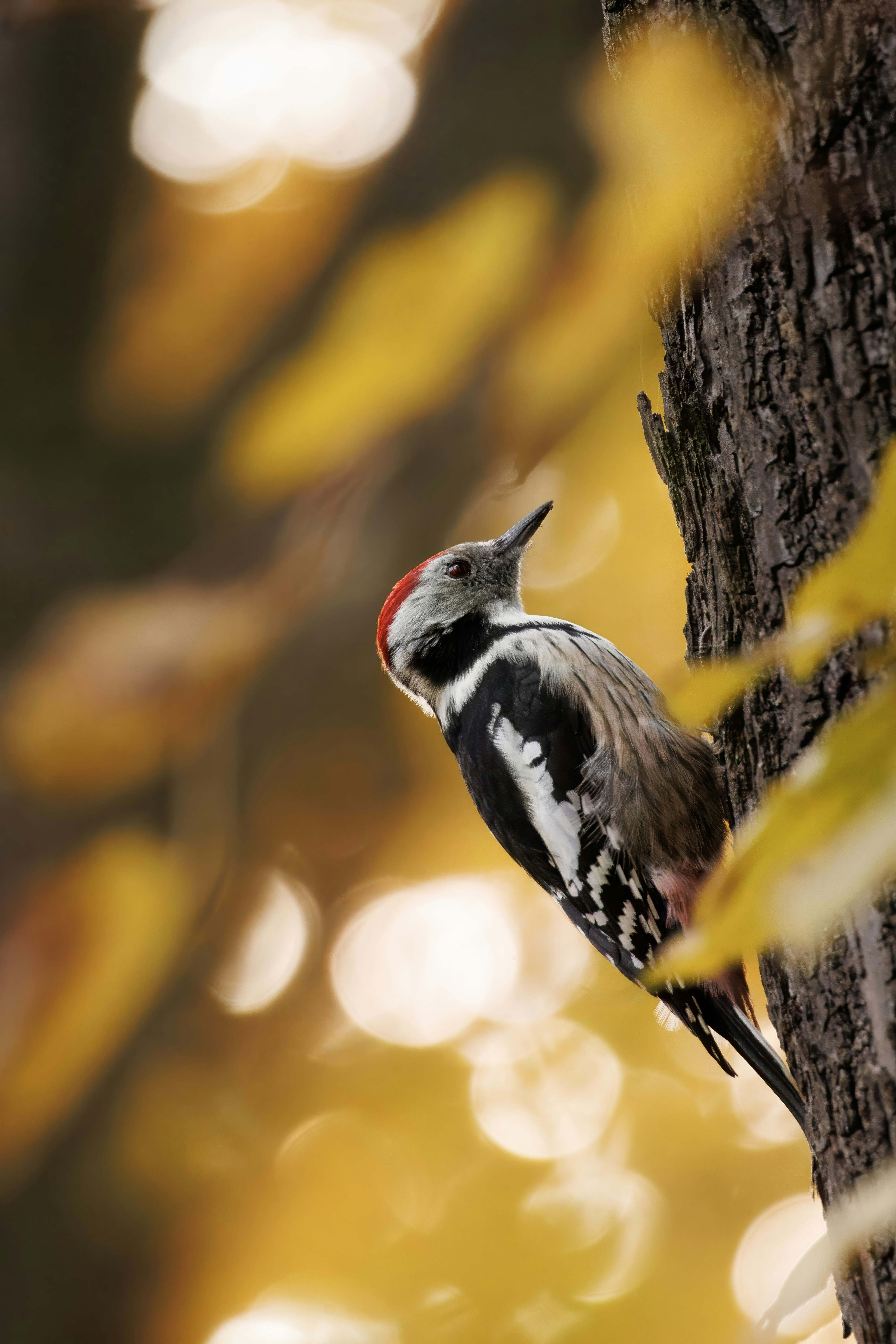 Photo by matt_liatkouski