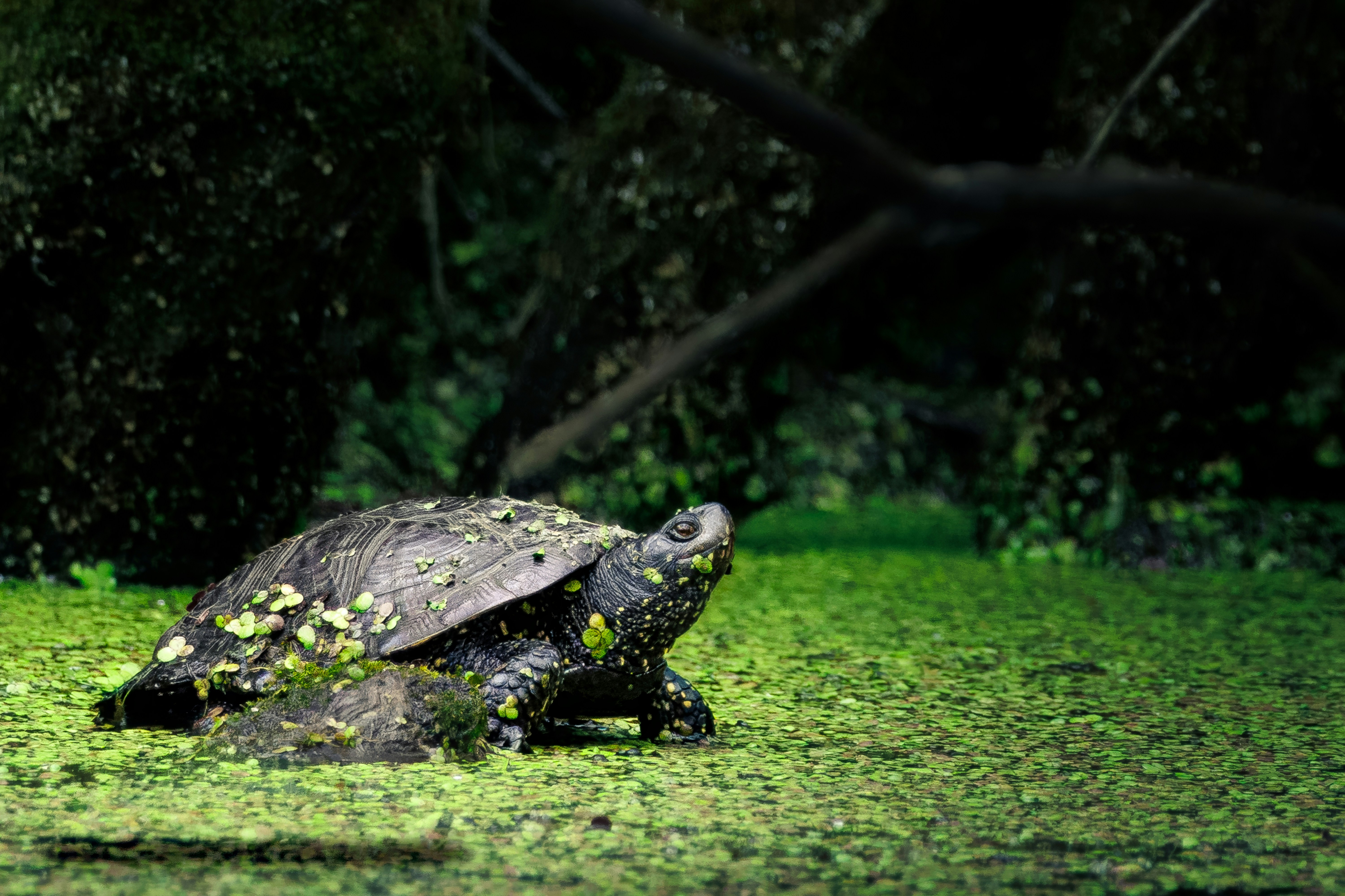 Photo by matt_liatkouski