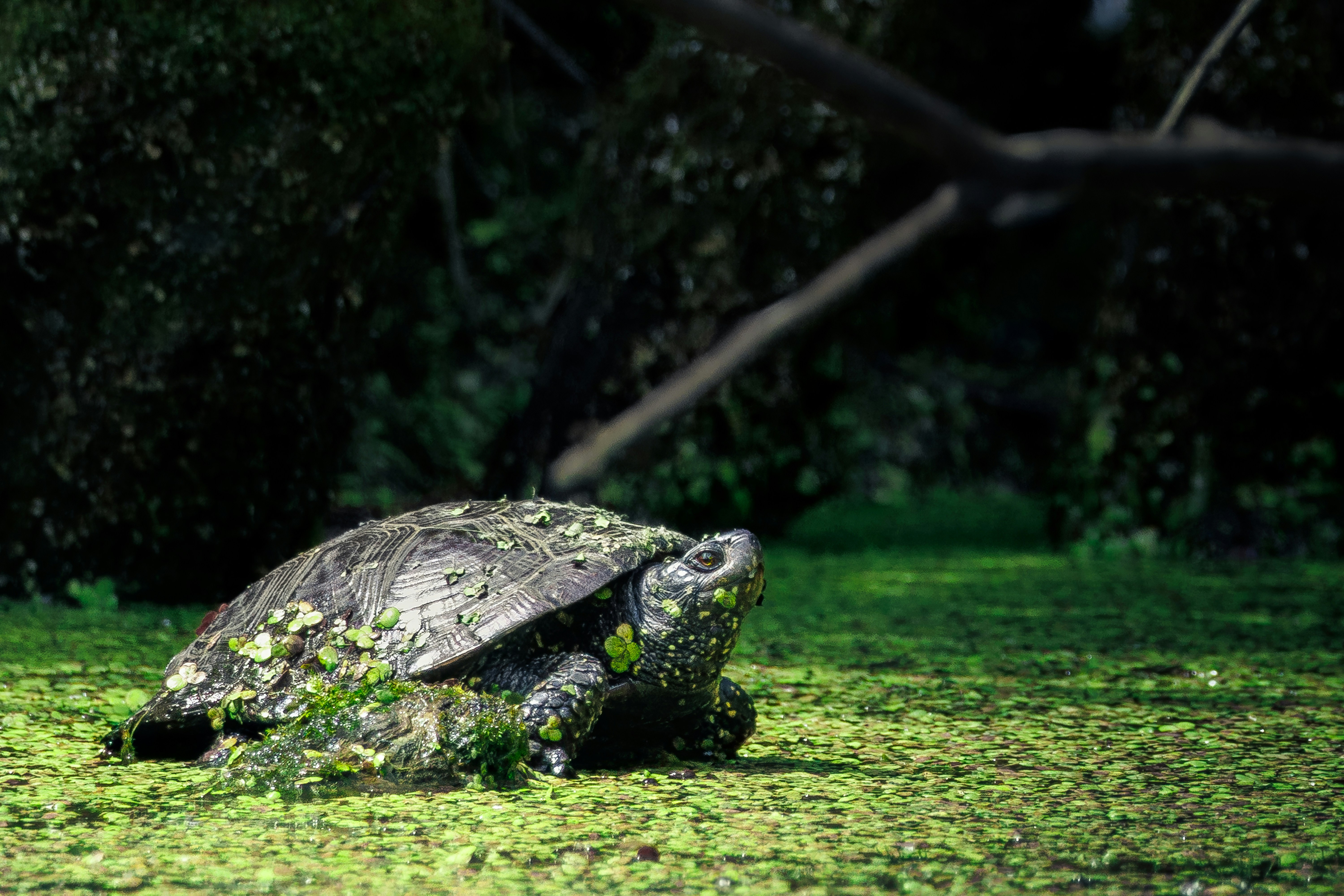 Photo by matt_liatkouski