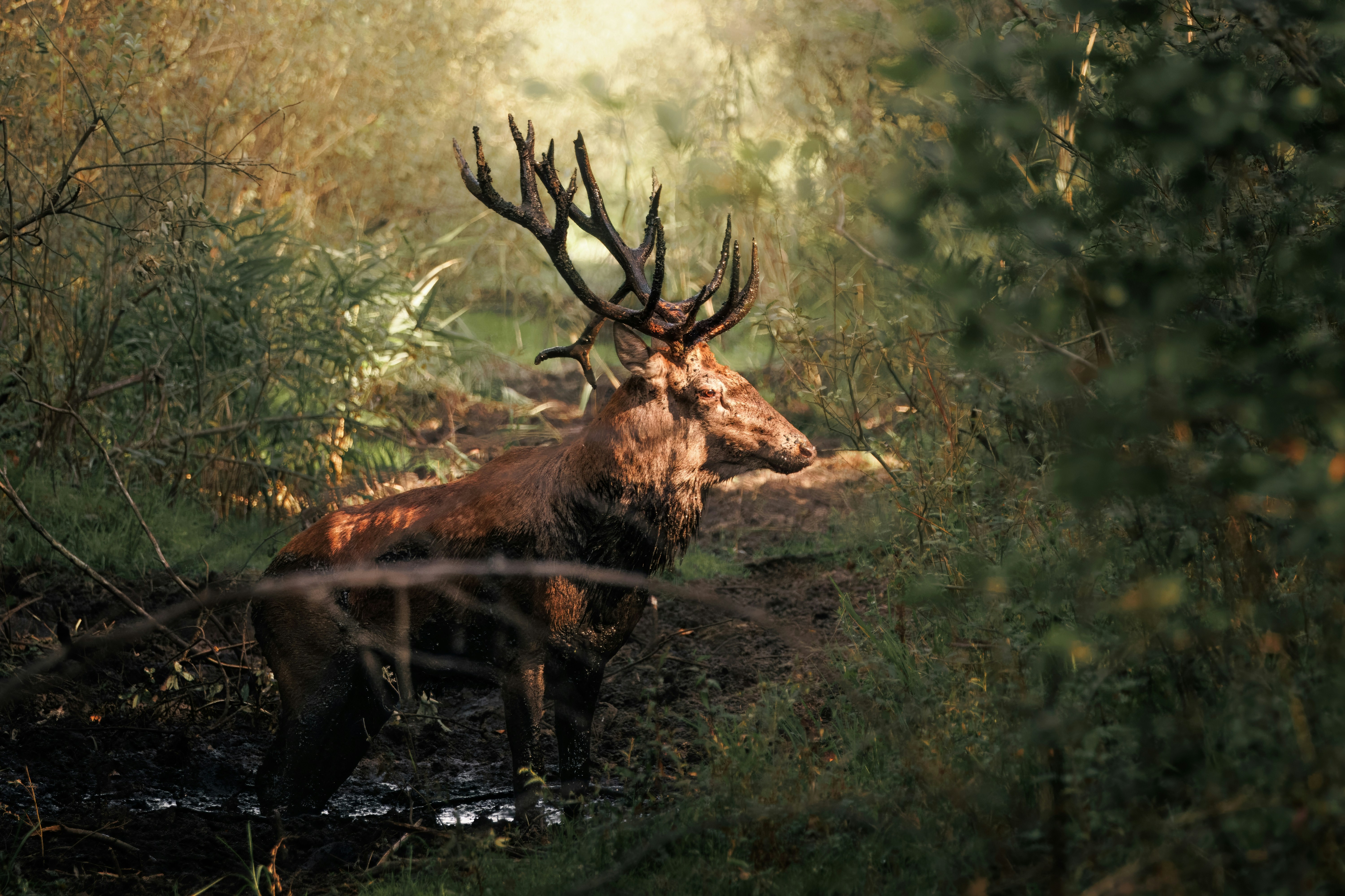 Photo by matt_liatkouski