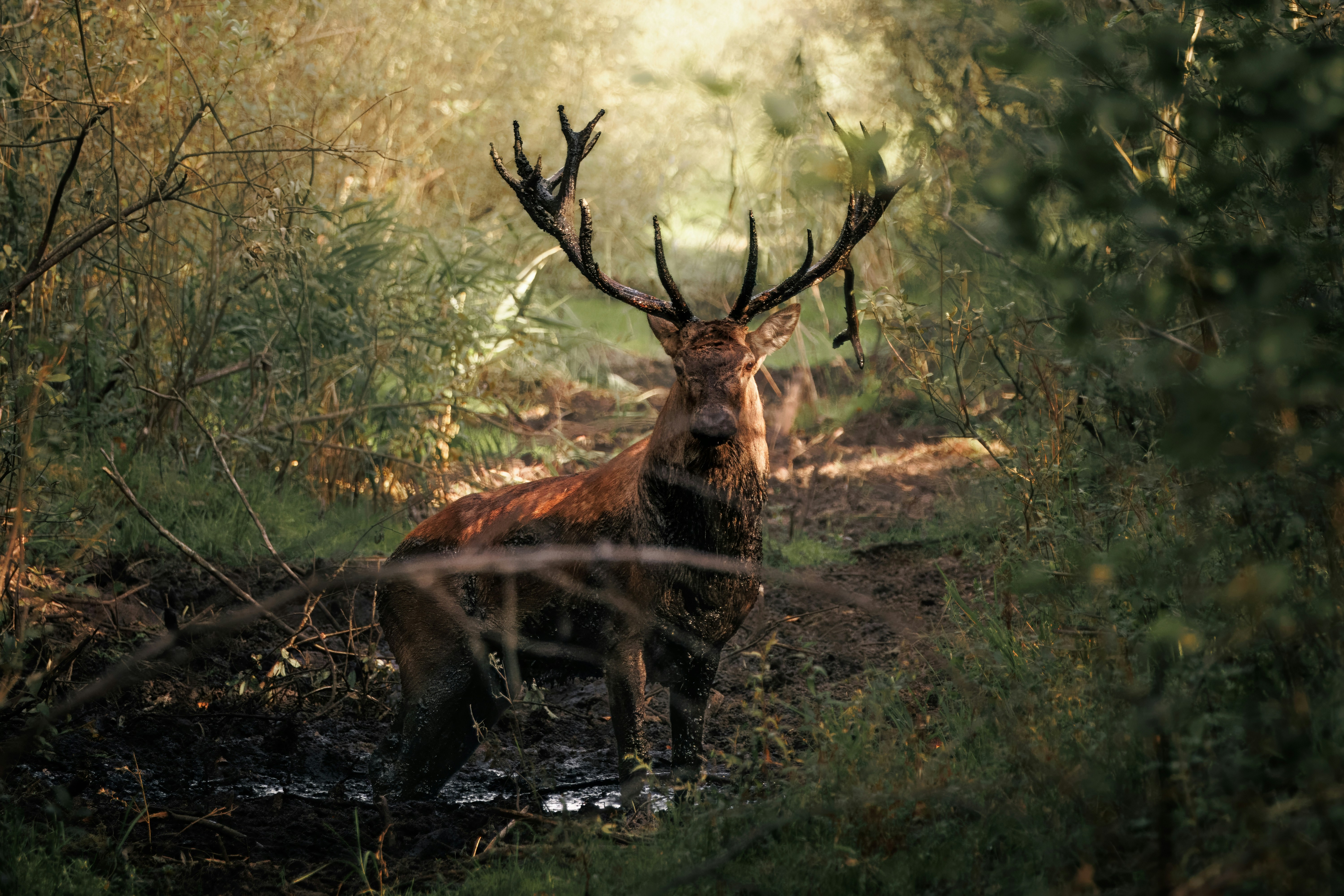 Организмите и тяхната среда на живот