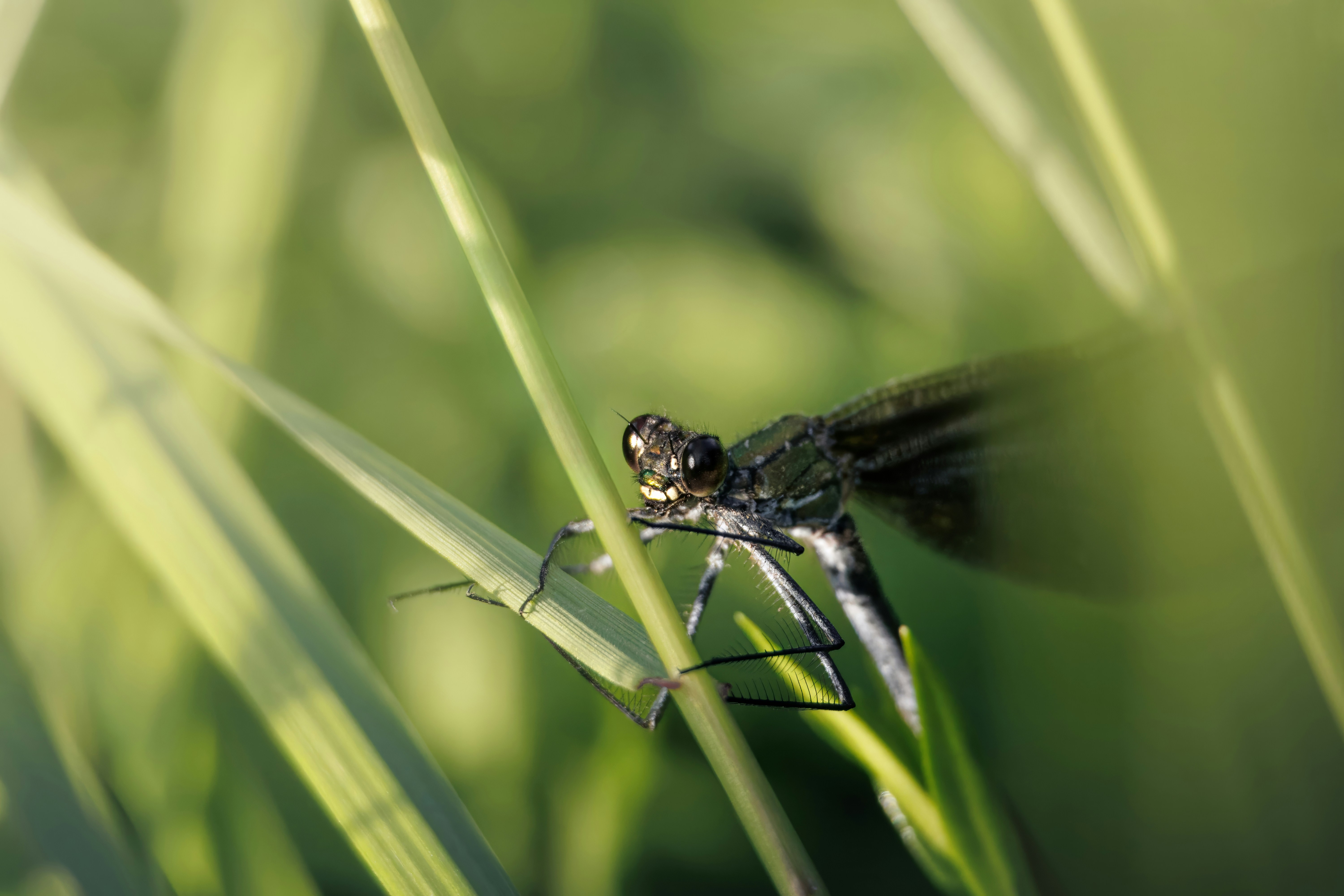 Photo by matt_liatkouski