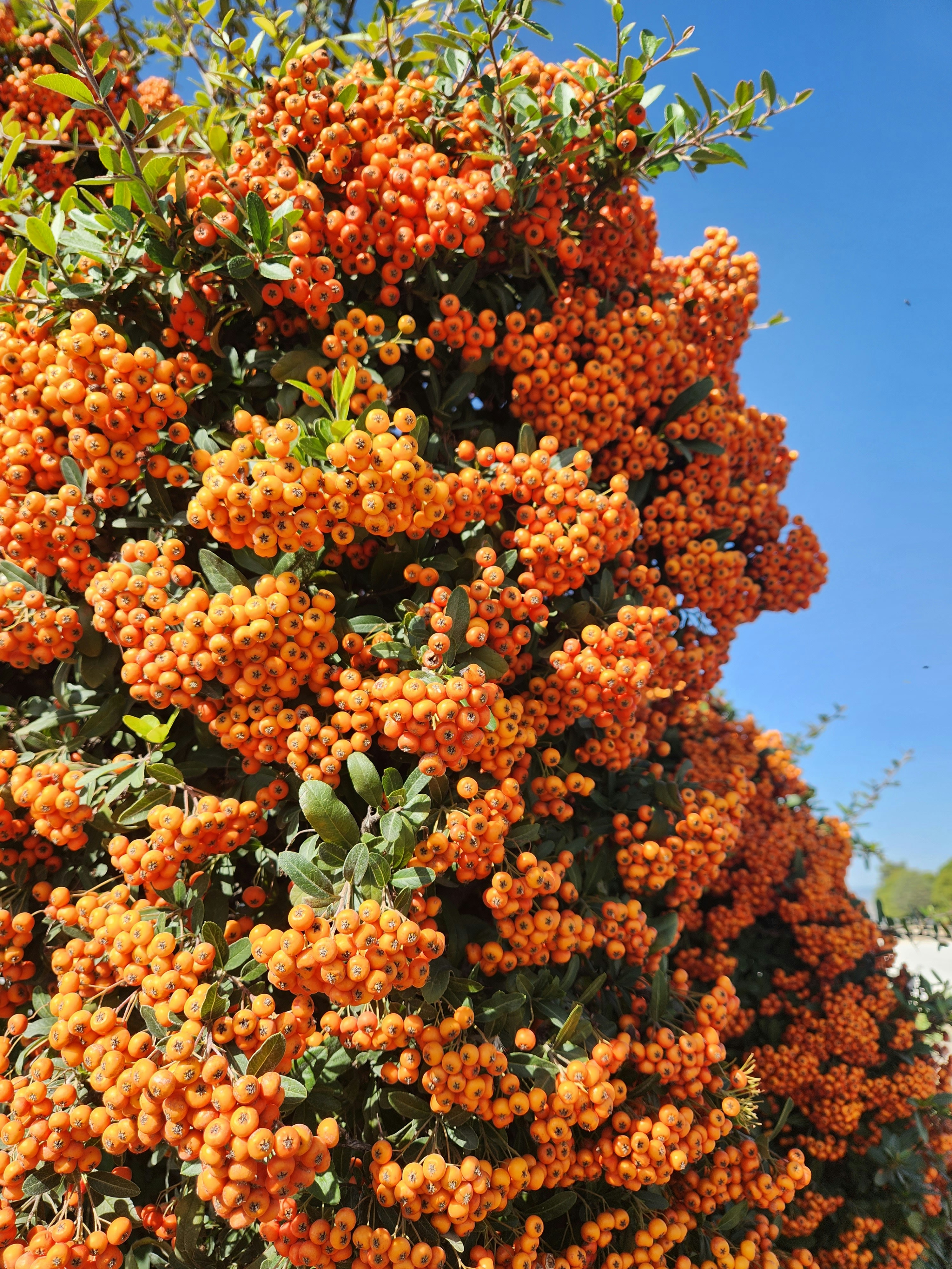 Photo by kris_panteleeva178